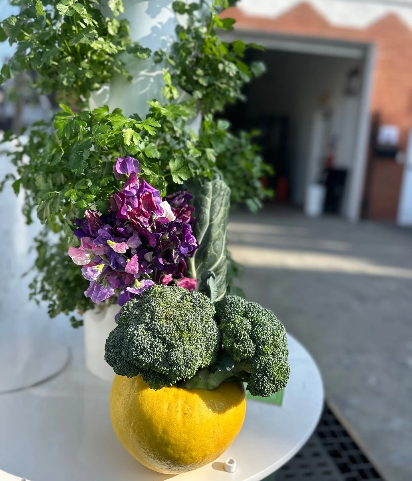 Spring is officially here and at HoFoCo, this is what our spring bouquet looks like (with some @sunriseorganicfarm produce 😉) What&rsquo;s your favorite winter/spring produce?