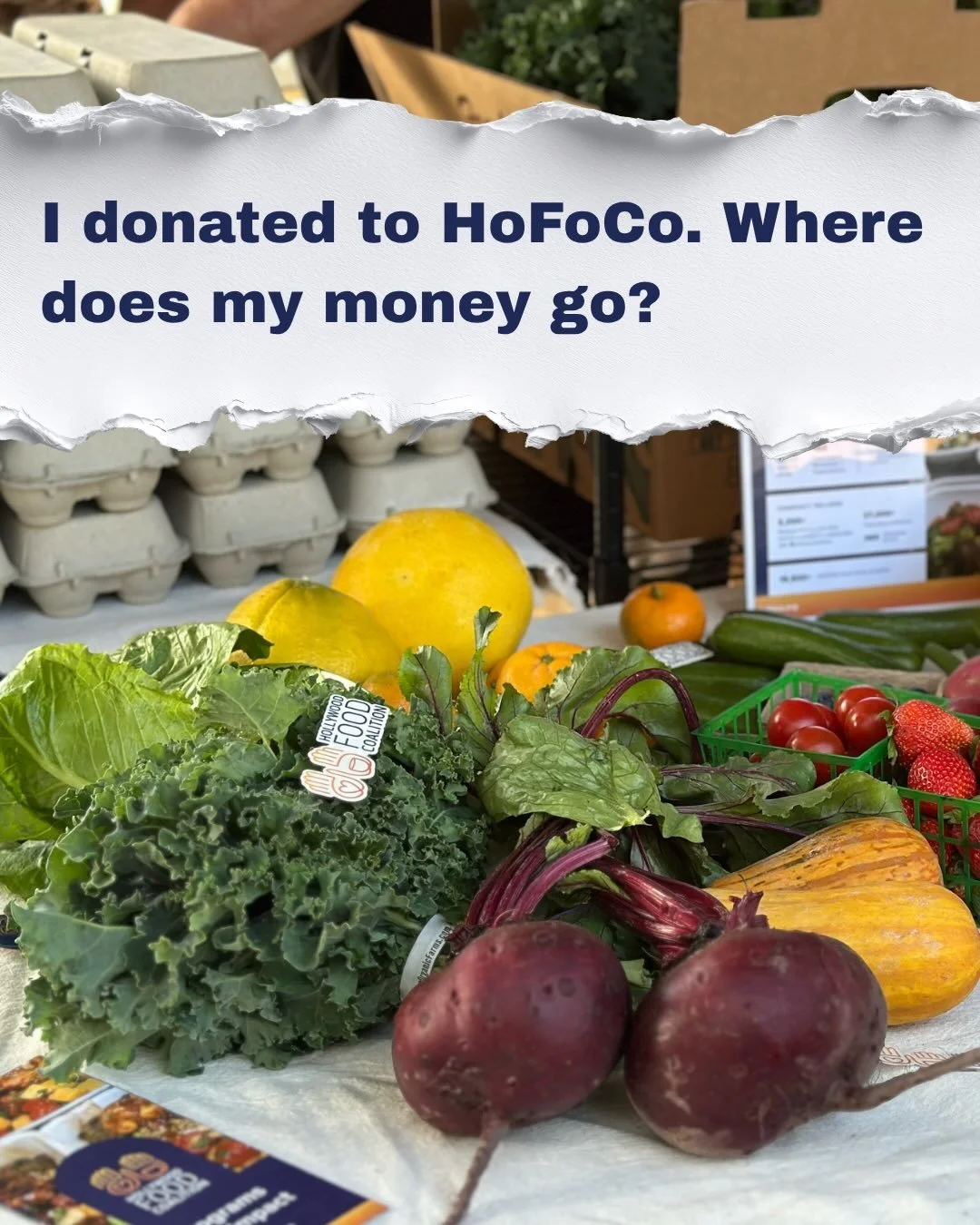 Ever wonder how your money is being used when you donate it to Hollywood Food Coalition? 88 cents of every dollar you donate to HoFoCo goes directly into our programs. The other 12 cents keeps the lights on behind the scenes. Support HoFoCo, knowing 