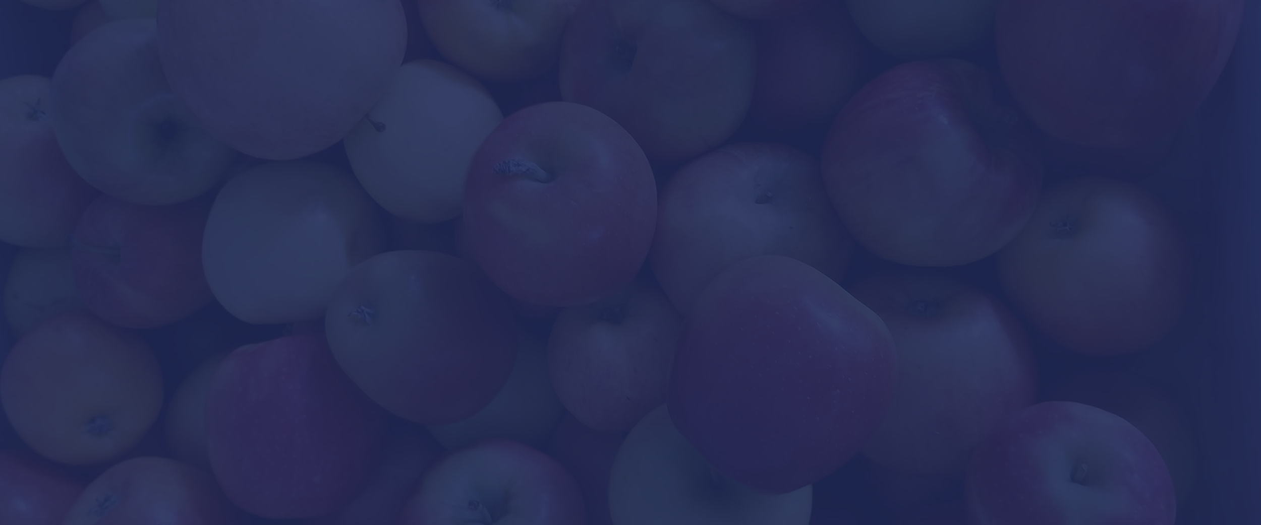 A close-up of a pile of apples with a blue filter overlay.