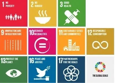 icon of UN goals