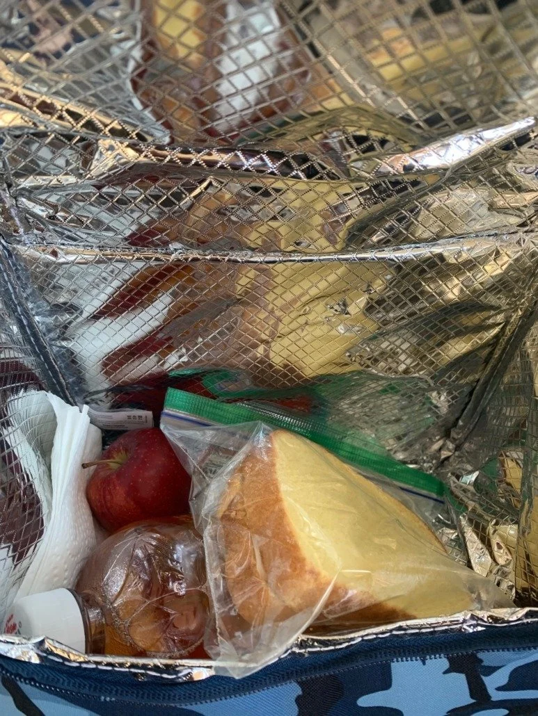 Insulated cooler bag with a slice of cake, apple, onion, and small container inside.