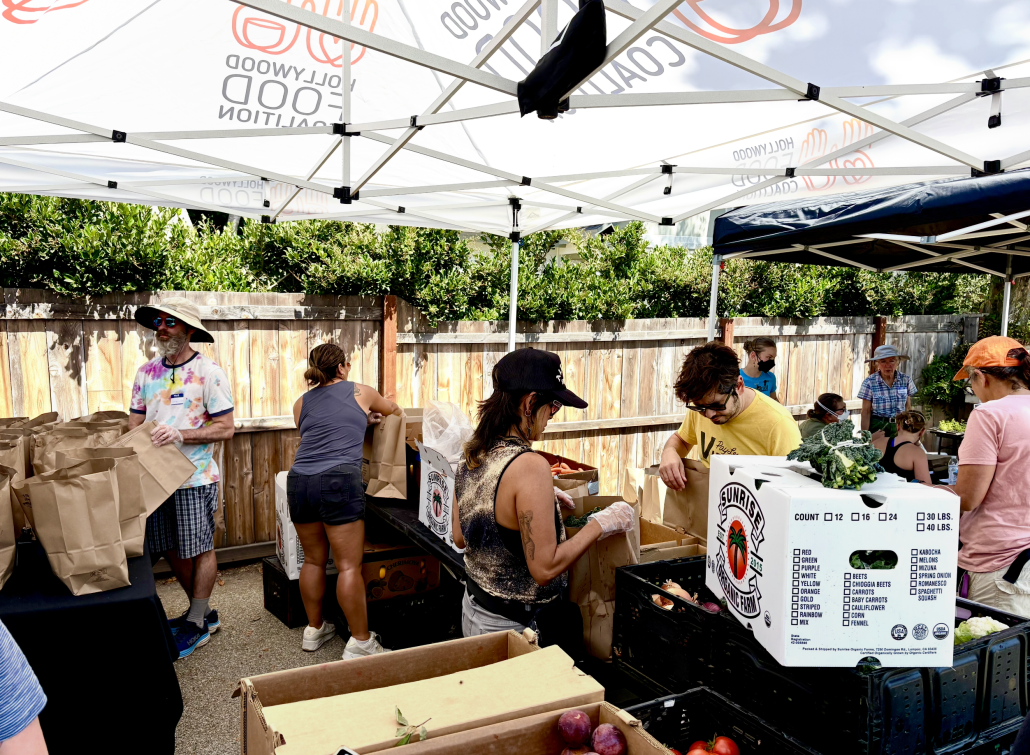 People at an outdoor farmers market under tents, handling bags and produce, with a wooden fence and lush green bushes in the background.