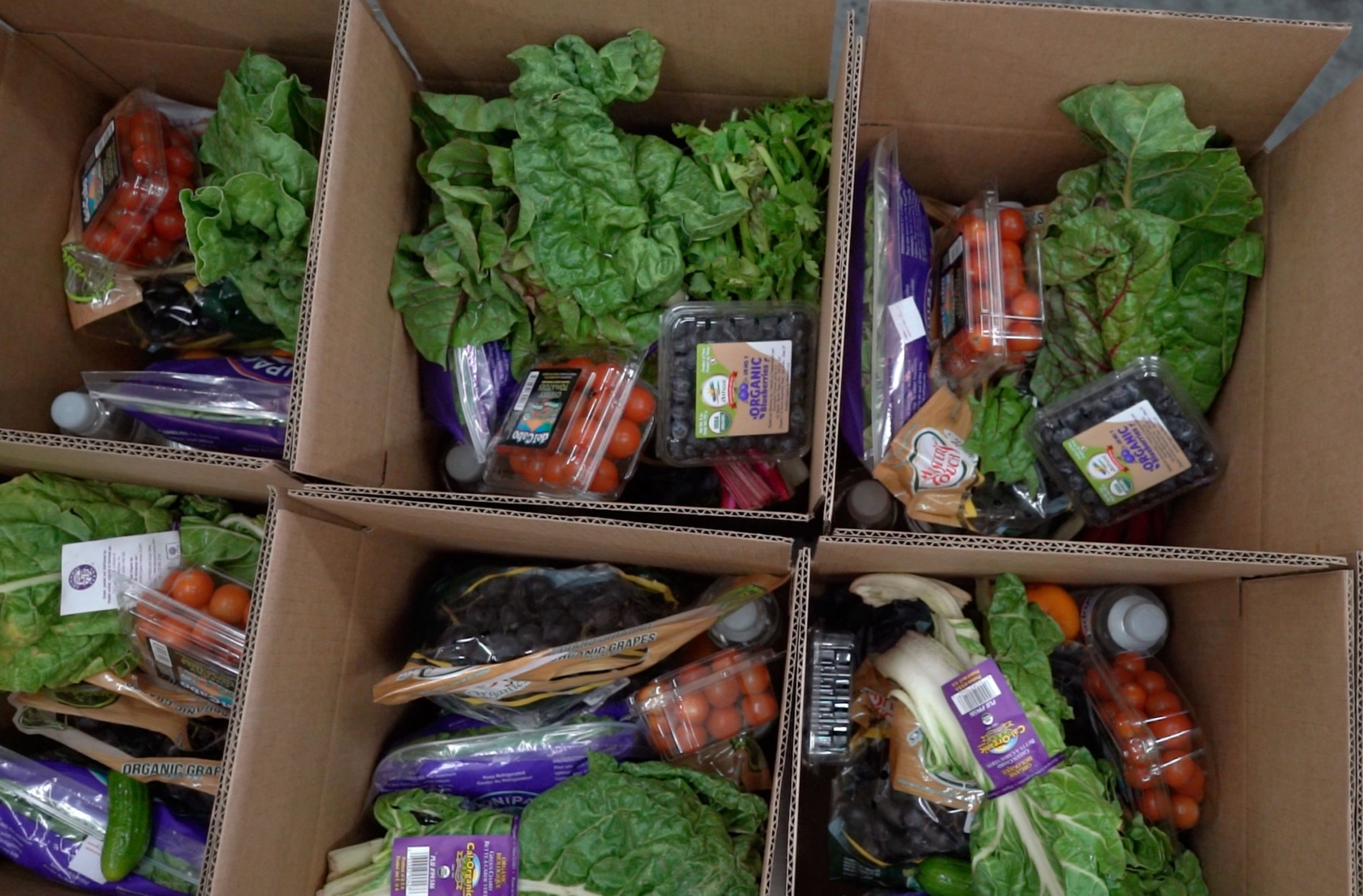 Multiple cardboard boxes filled with fresh vegetables including cherry tomatoes, leafy greens, and grapes, with some produce in plastic packaging.