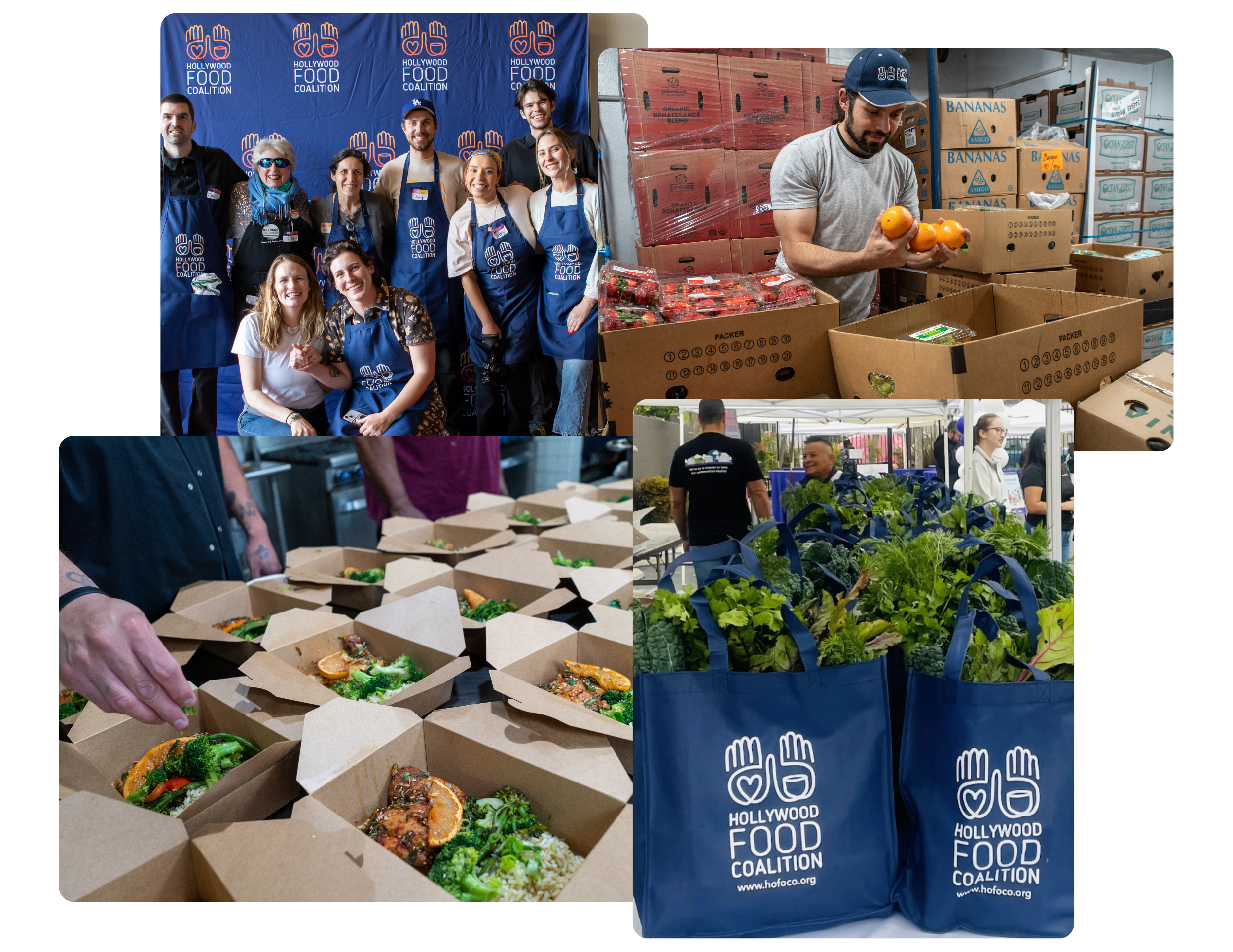 Group of volunteers at Hollywood Food Coalition, packing and distributing food, including salads and fresh vegetables in cardboard boxes and reusable blue bags with the organization's logo.
