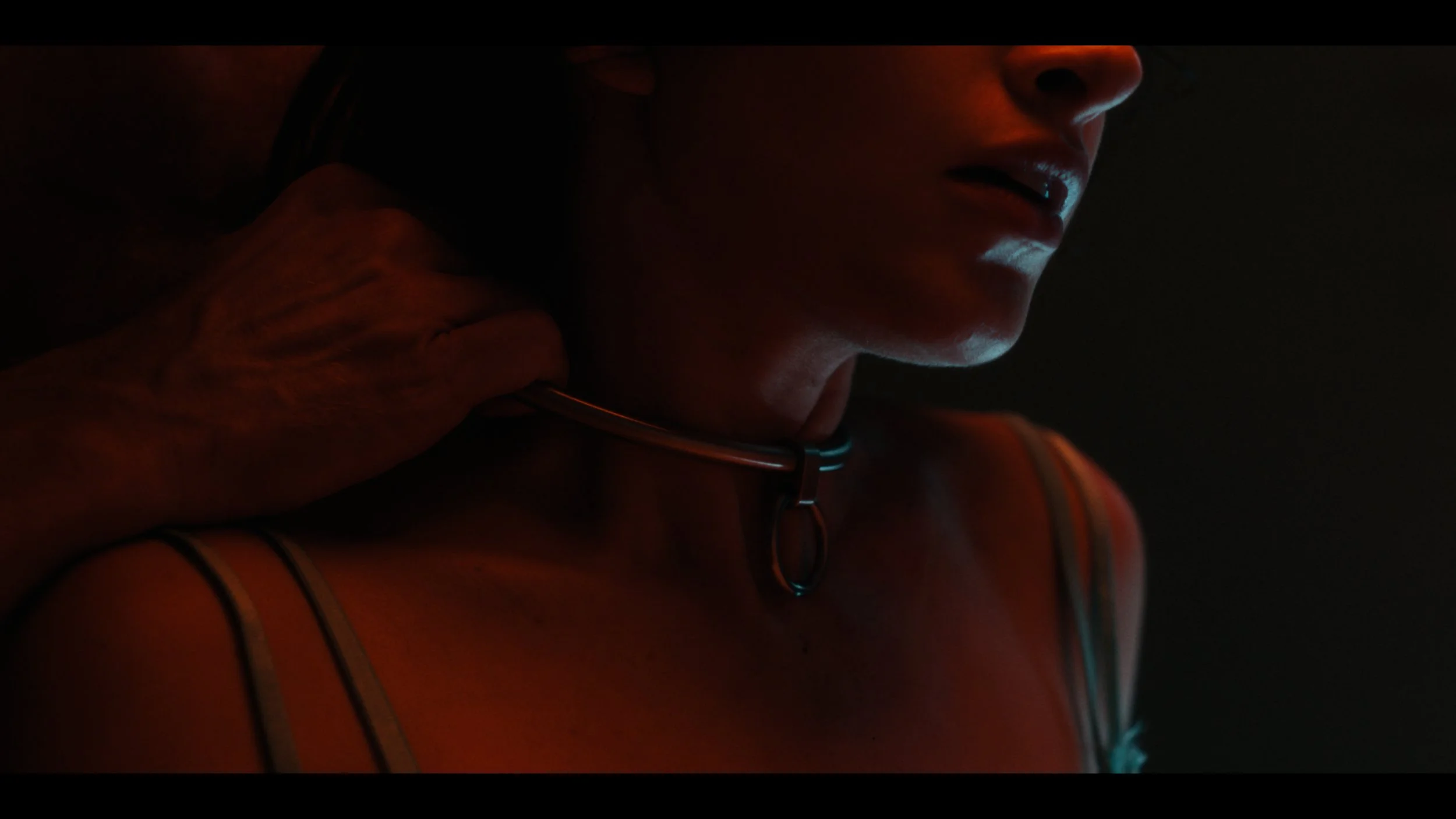 Sequence 01.00_01_55_09.Still040.jpg