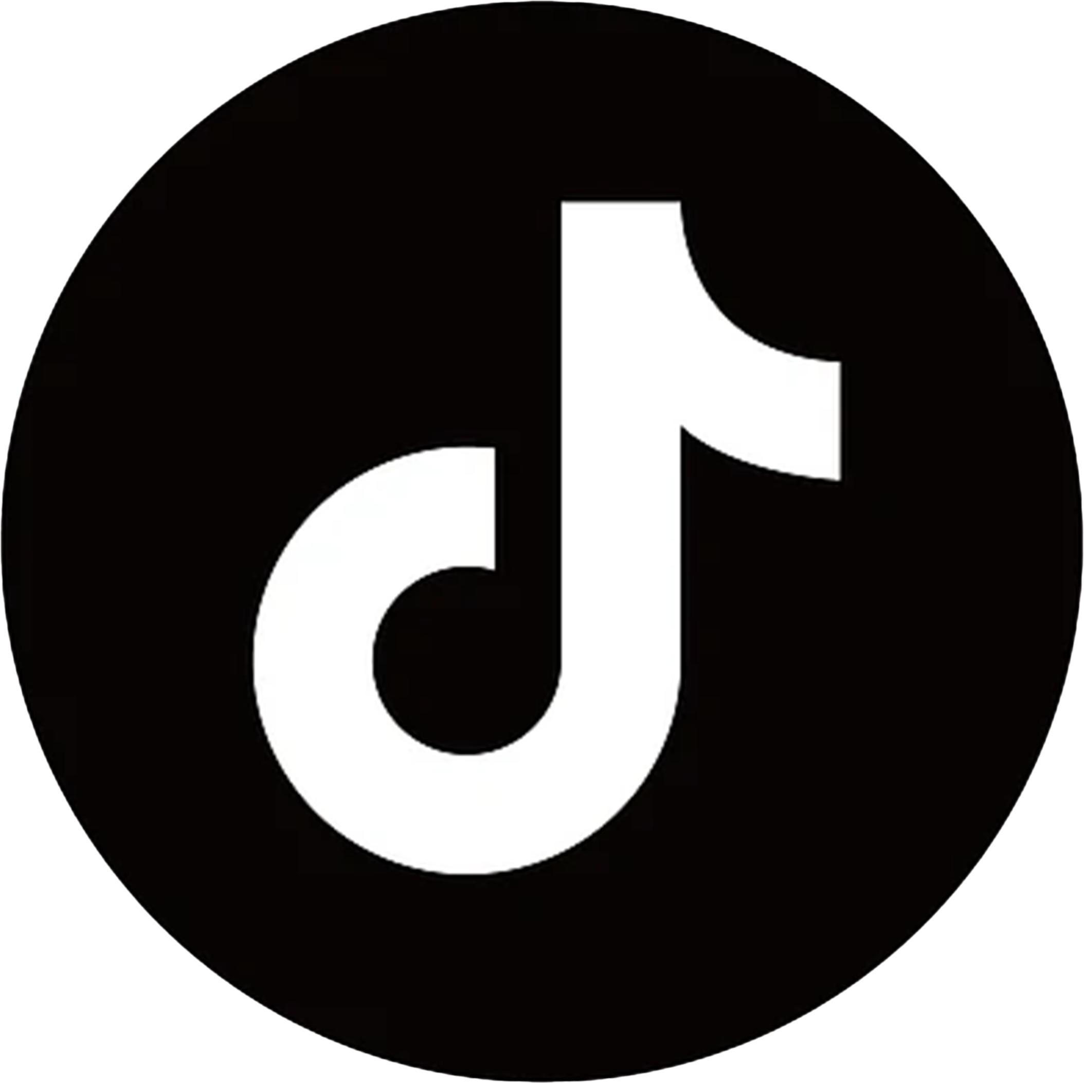 TikTok logo featuring a white musical note on a black circular background.