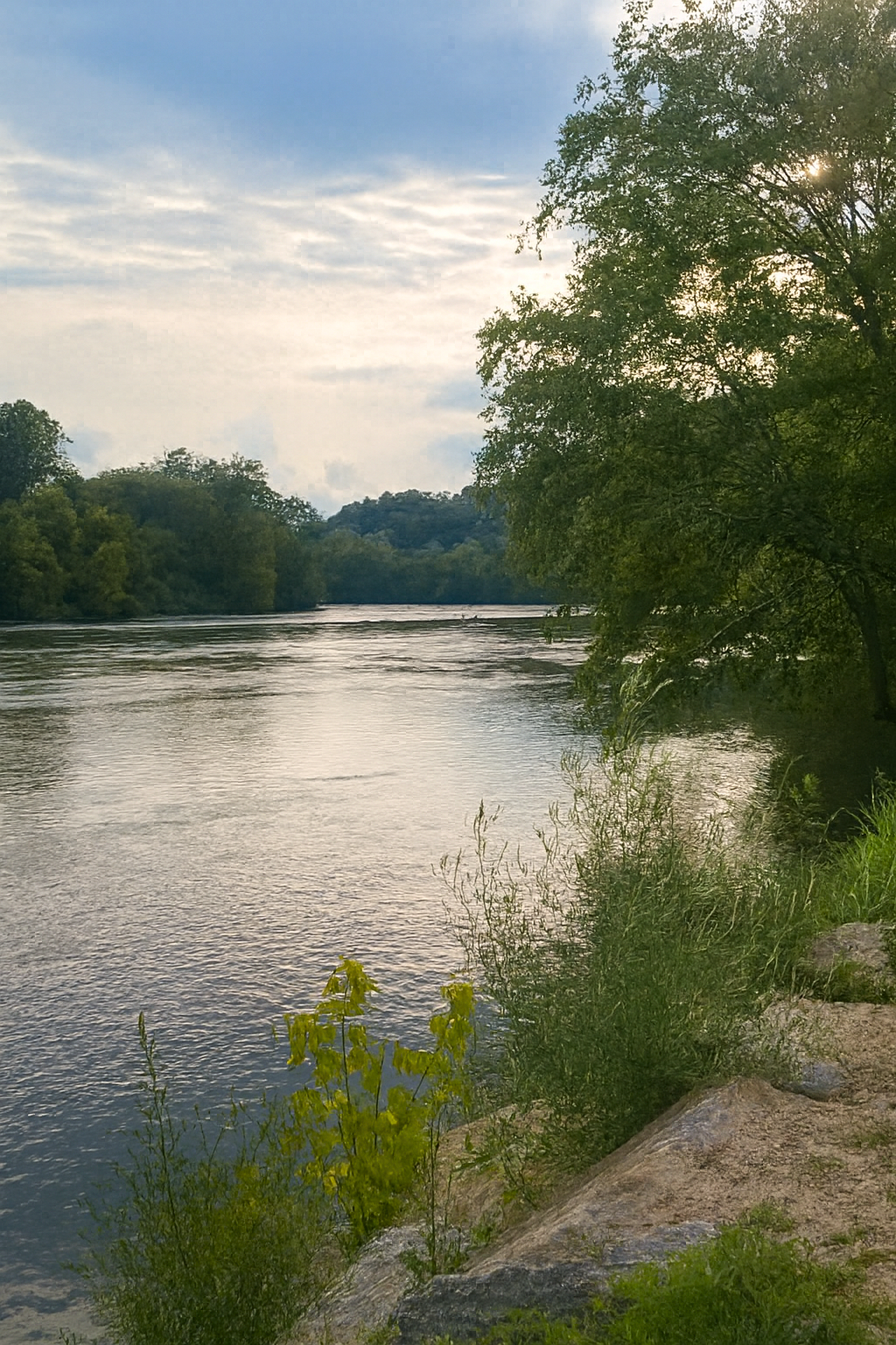 The peaceful French Broad river flowing through a lush green landscape, with trees on both sides and a partly cloudy sky overhead.