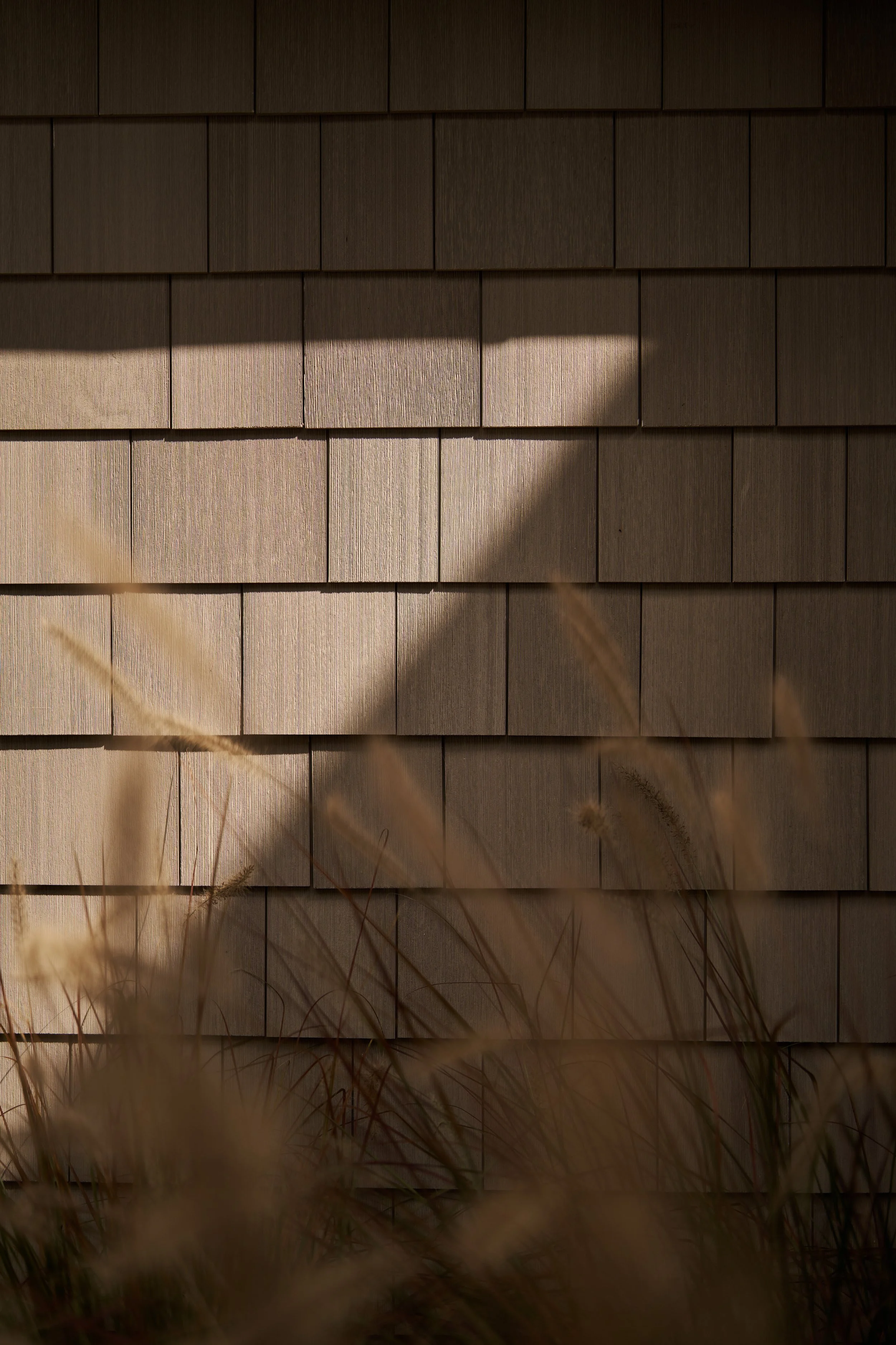 Strickland_Arch_Clifftops_0292.jpg