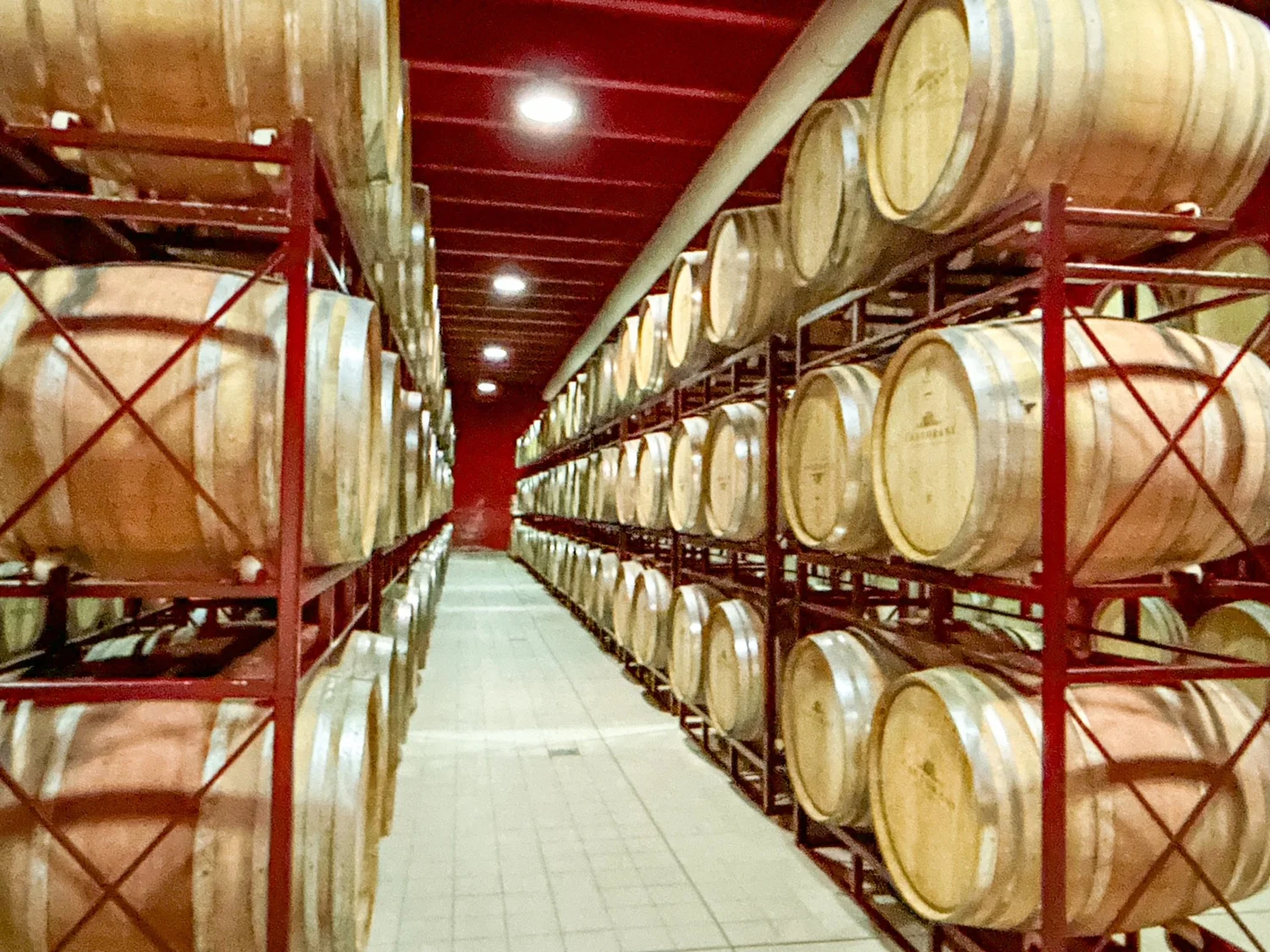 Castorani Winery Barrel Room — Experience Abruzzo’s Wines