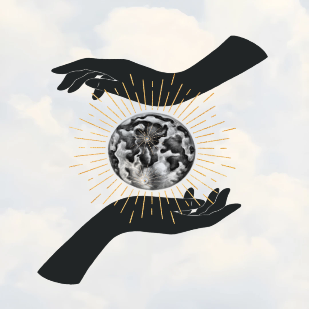 Untitled Project(2).png