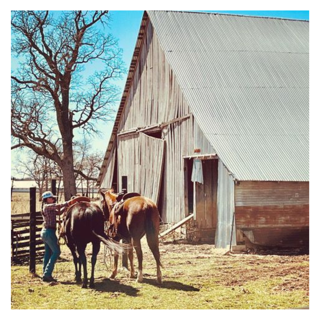 Regenerative agriculture is anything but ‘just business’