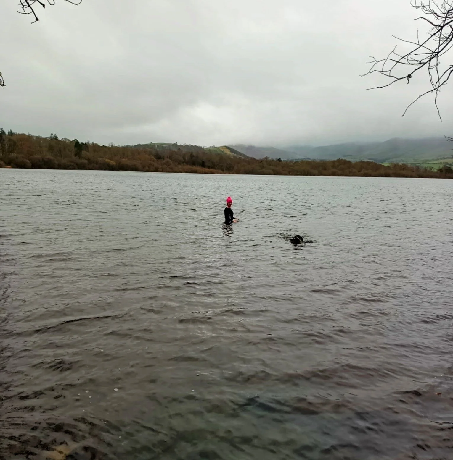 Refreshing swim to blow away the cobwebs. For both of us! 
Have a good weekend! 

#cumbriadogbarn #wildswimming #lakedistricthiddengem