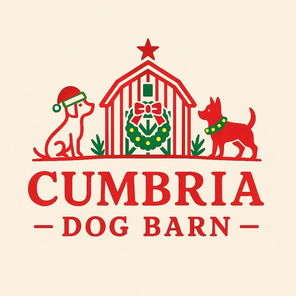 Happy December! Still thinking about what to get that special someone who has got everything this Christmas? Do they have a dog?  Then what better than a gift for their beloved pup, a special, gift wrapped tug toy! 
We have a few wreaths ready to go 