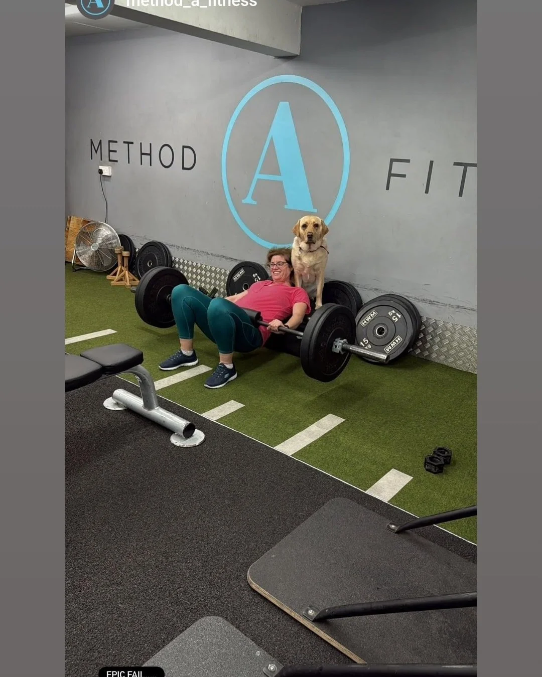 🐾 The Dogs Who Shaped Me &mdash; A Final Thank You (for now!) 🐾

Over the past few weeks, I&rsquo;ve shared the stories of the incredible dogs who&rsquo;ve shaped my life and career &mdash; Bessie, Rufus, Missy, Wilbur, and Bruce. Each of them left