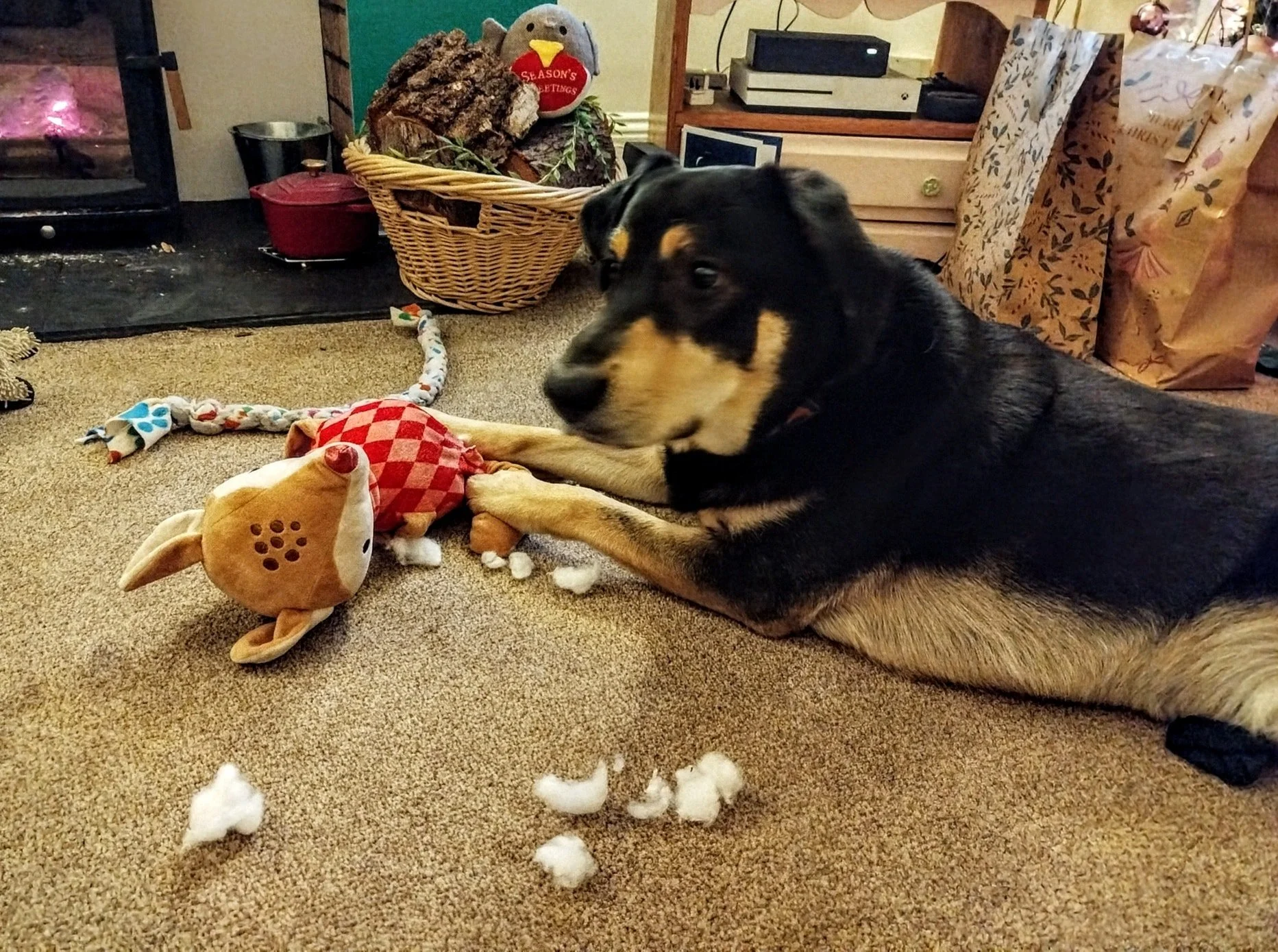 In a shocking development North Pole Police have, at a press conference today and released a photo of their prime suspect wanted in connection with the brutal murder of Rudolf.

The slightly fuzzy photo was captured by a member of the public.

Santa 