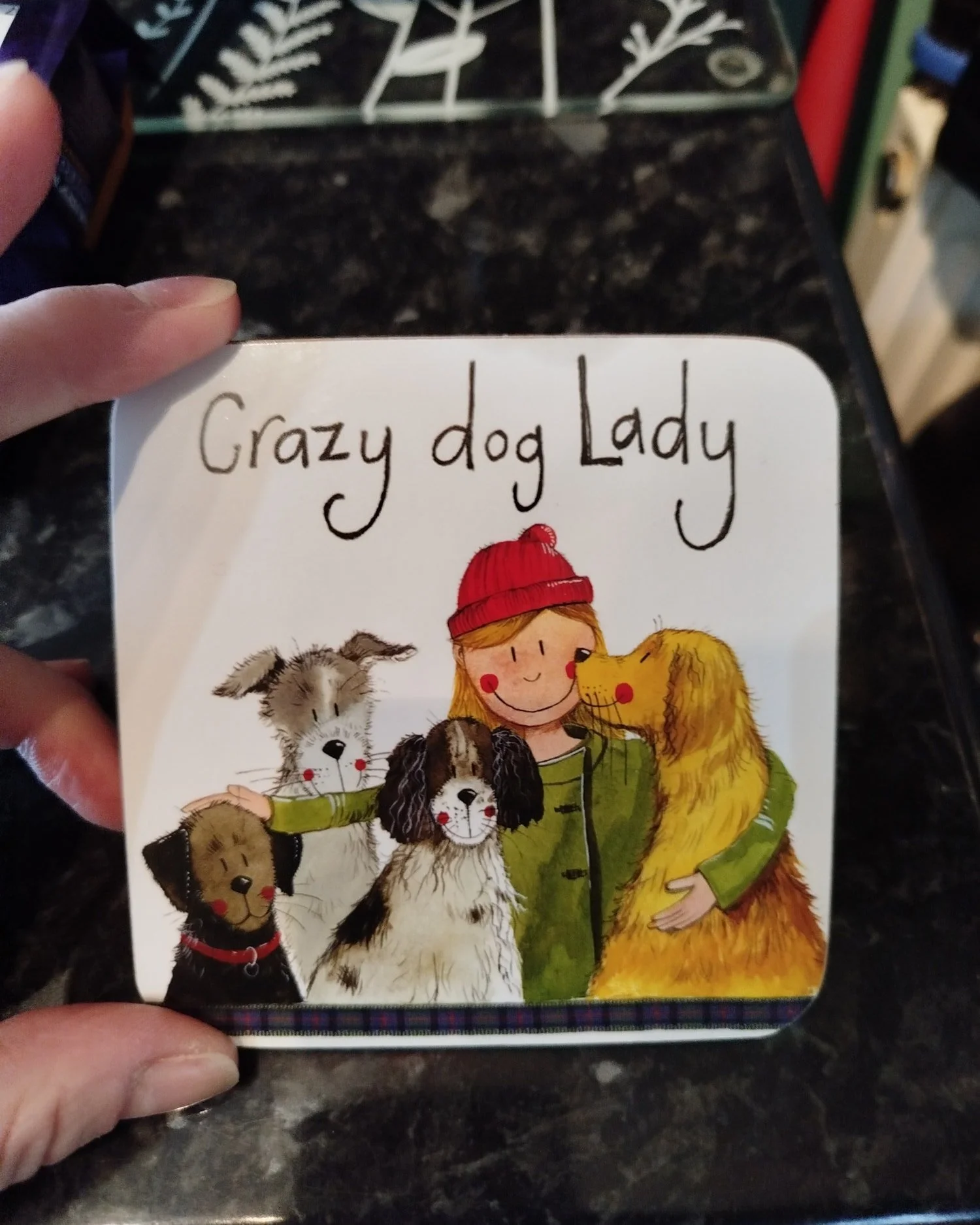 Merry Christmas!
We had a lovely day at Cumbria Dog Barn. I really don't know where people get these weird present ideas though...I mean dogs are ok, I don't mind the odd one or 2..... Alright, alright you got me, seems I can't hide it from my friend