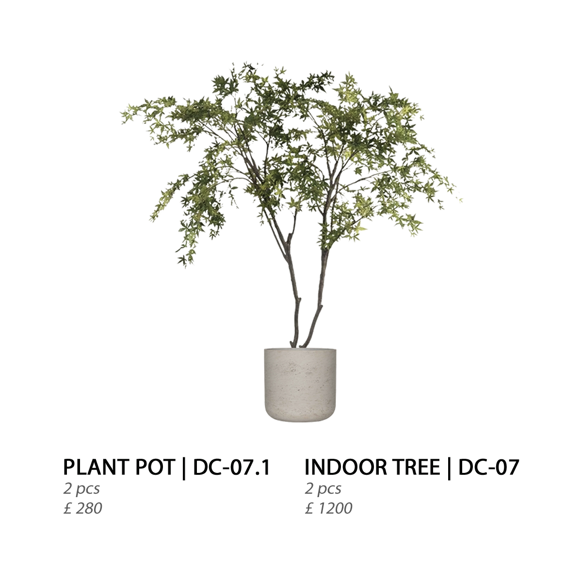 A potted tree with green leaves in a white, round planter