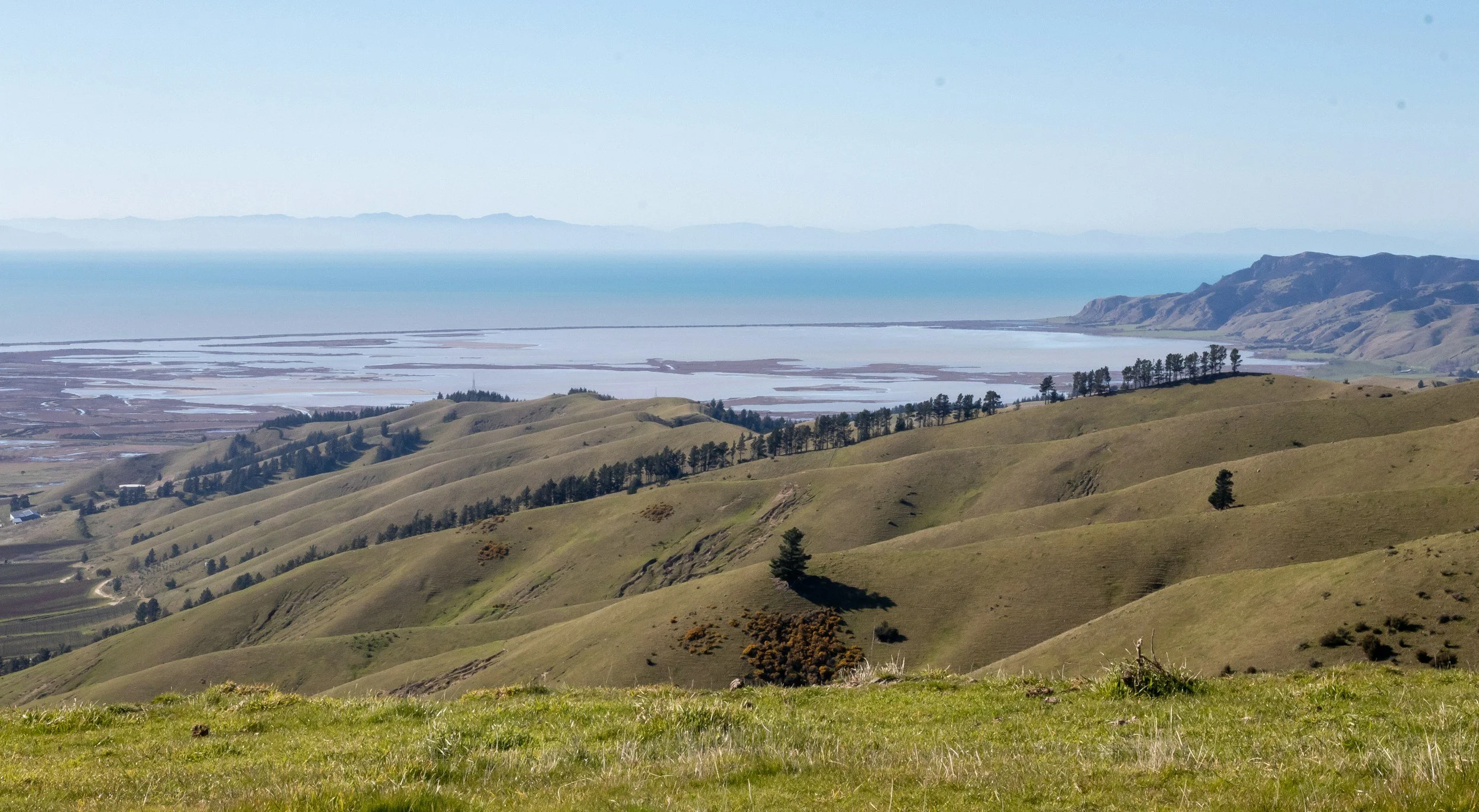 Central Otago in New Zealand. Rolling green hills, trees, salt flats, and distant mountains under a clear blue sky.