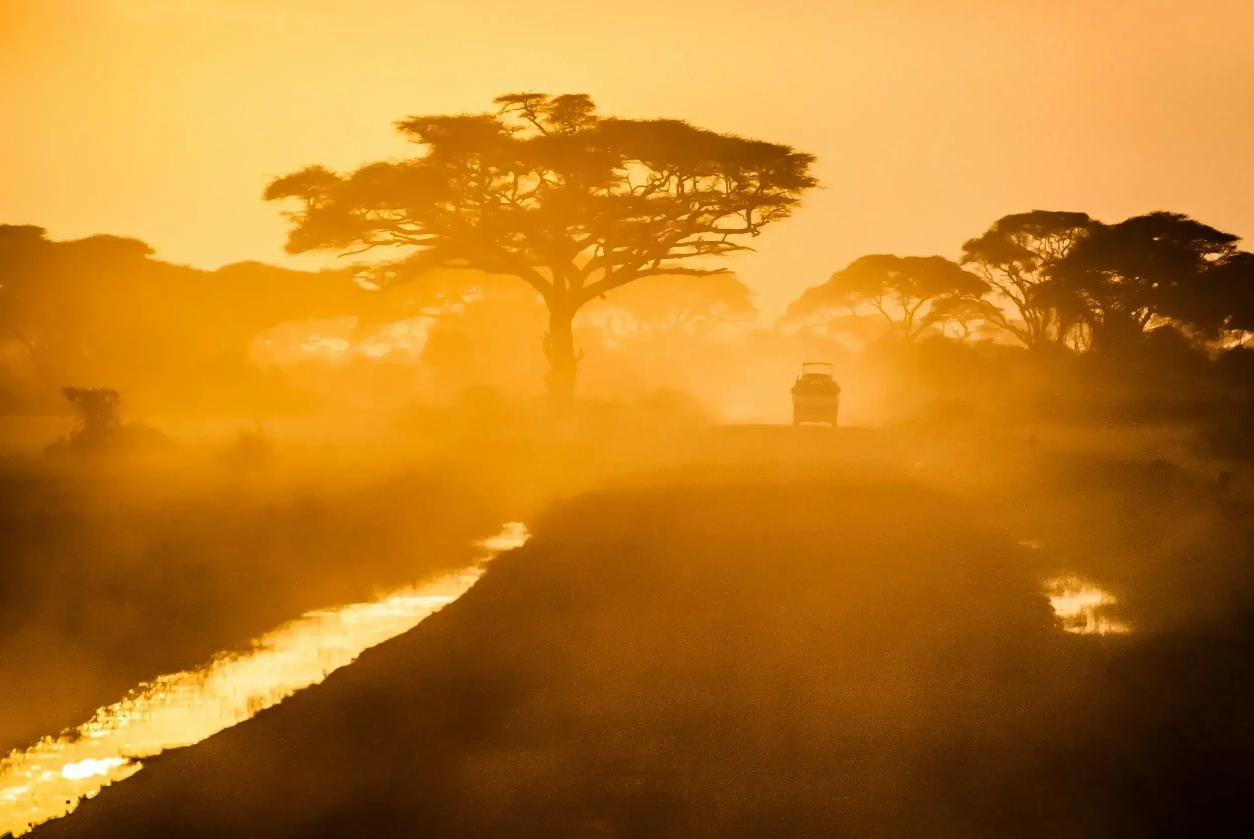 Sunset over an African landscape with acacia trees, a dirt road, and a vehicle in the distance, giving a warm, golden glow