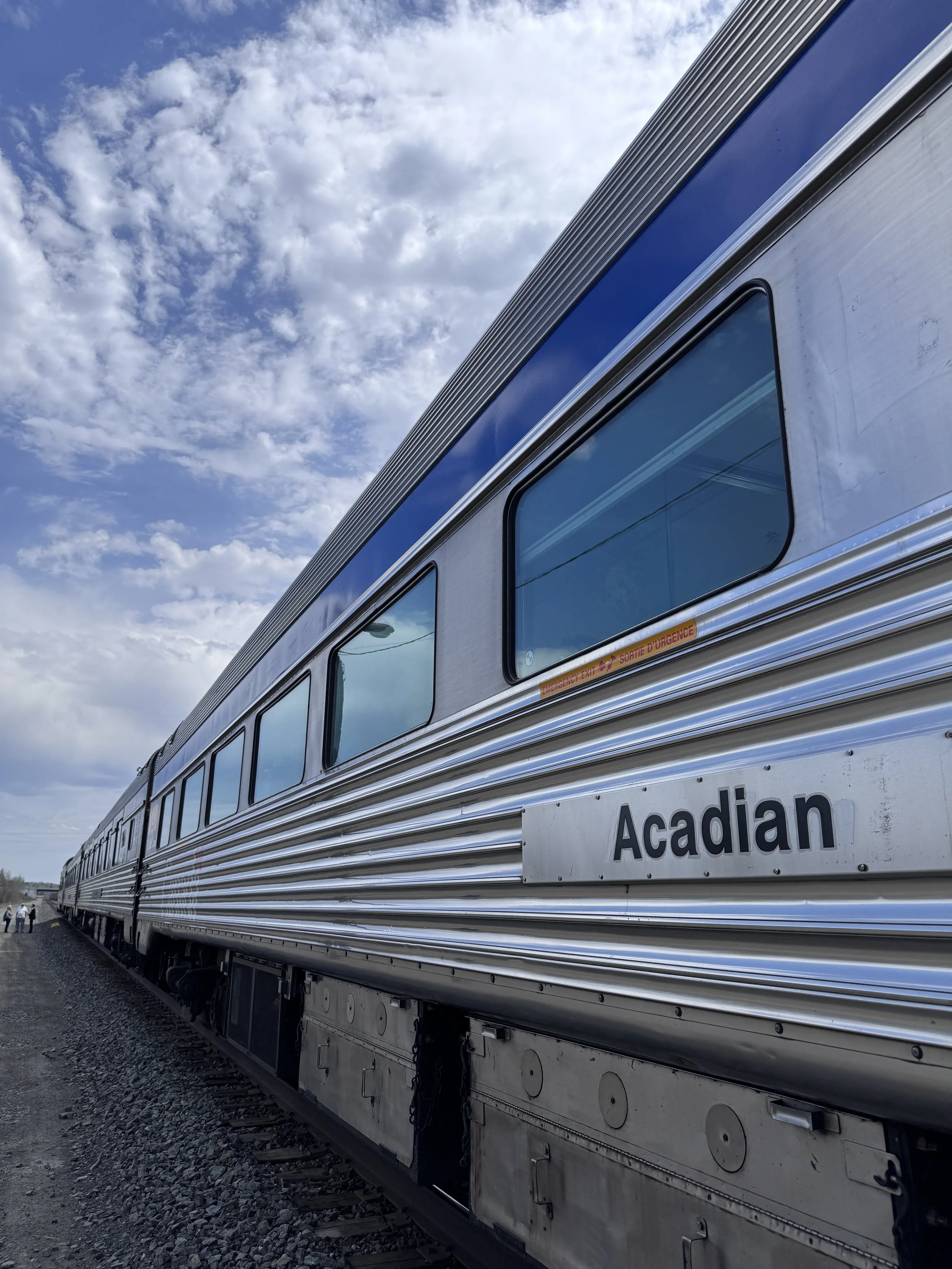 The Canadian - Train Cars.JPG