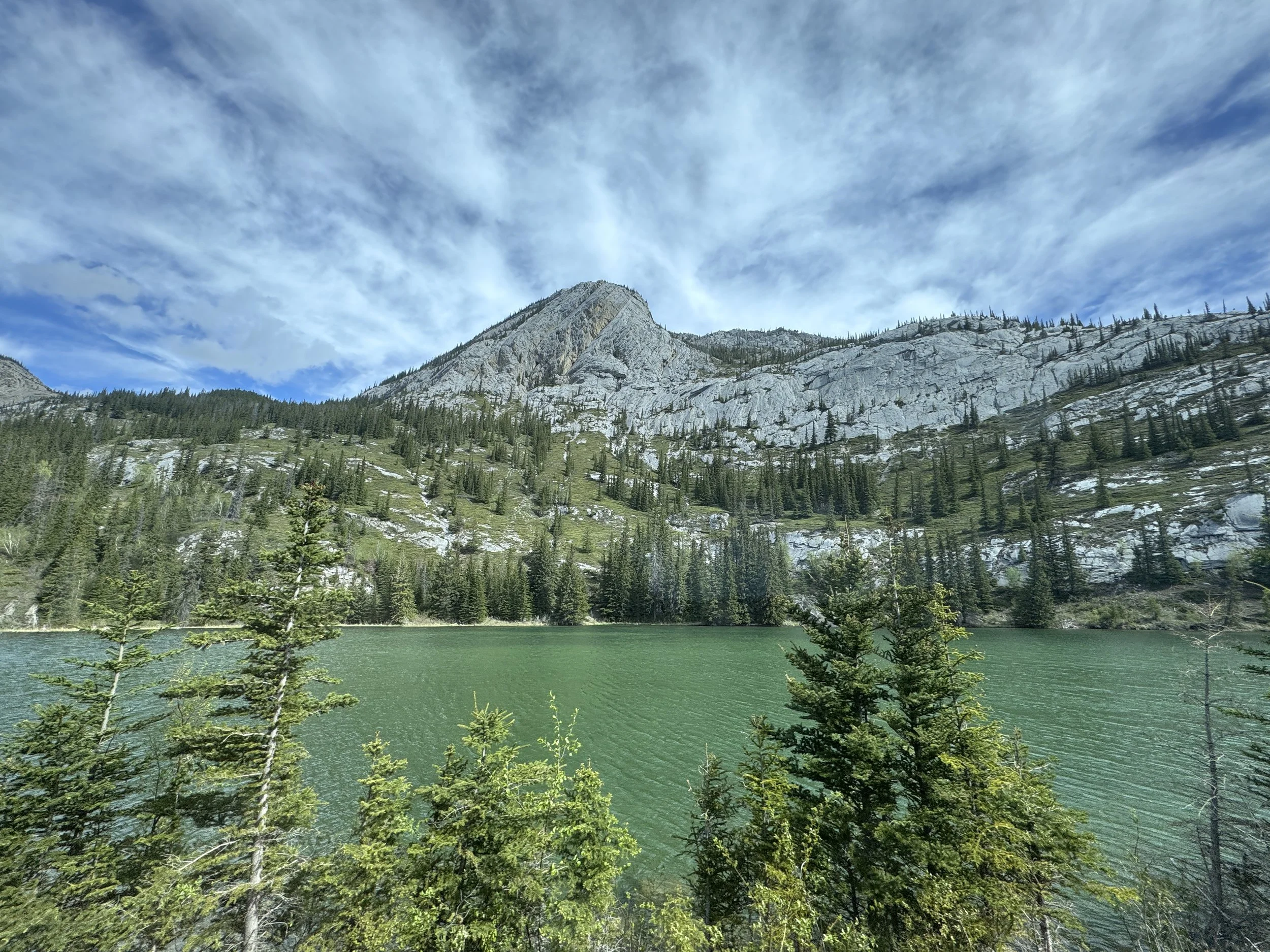 The Canadian - Alberta Rockies - Landscape.JPG