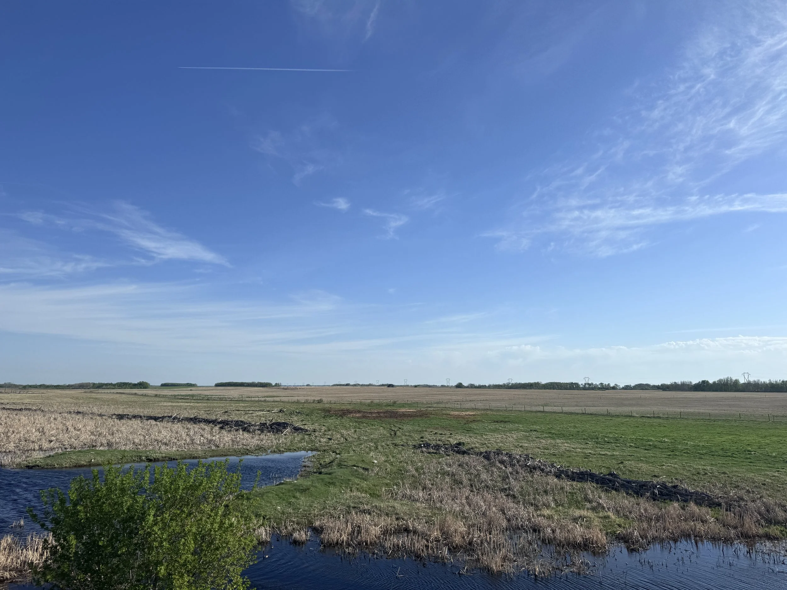 The Canadian - Manitoba Prairies.JPG