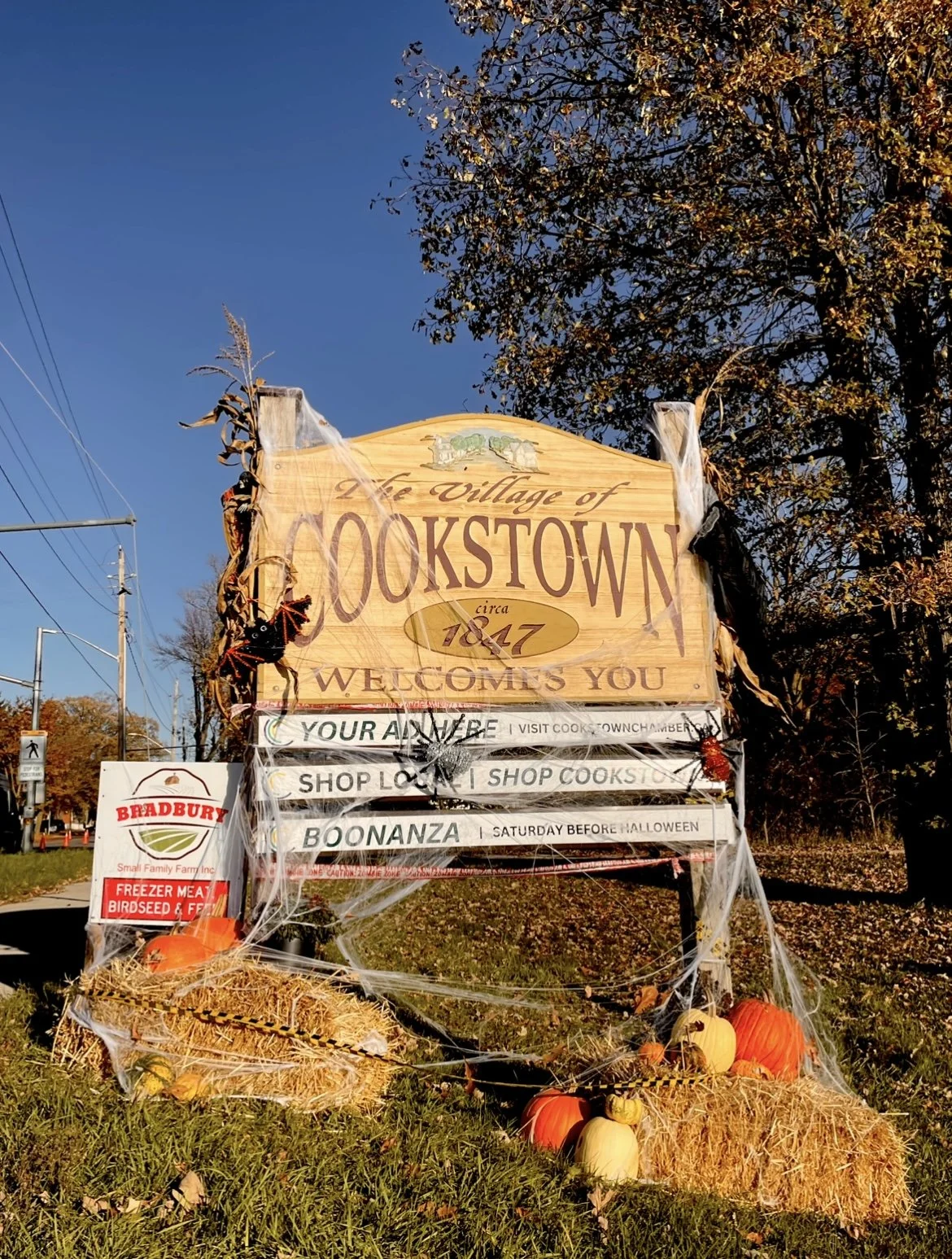 001-cookstown-sign-halloween.jpg