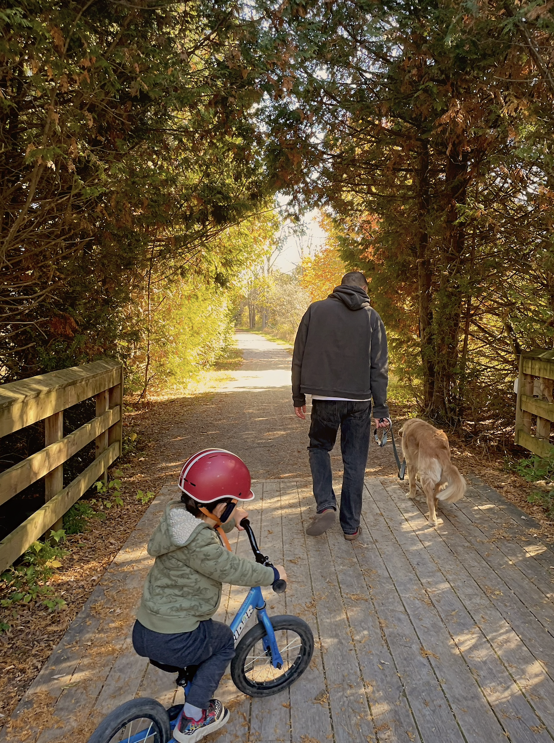 Screenshot 2026-01-04 at 3.22.46 PM.png