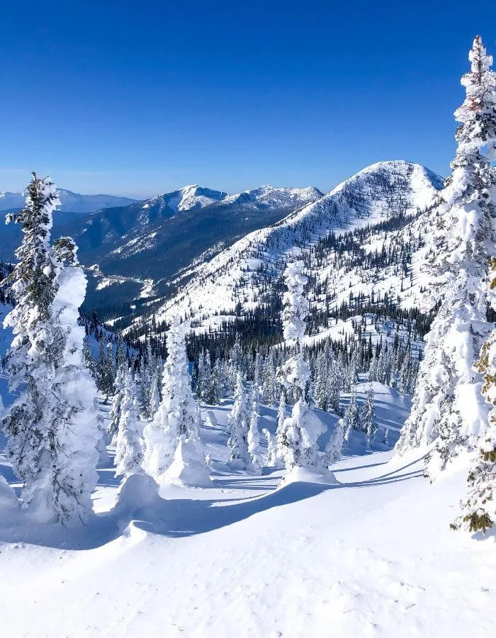 Cat Skiing in British Columbia: The Ultimate Guide