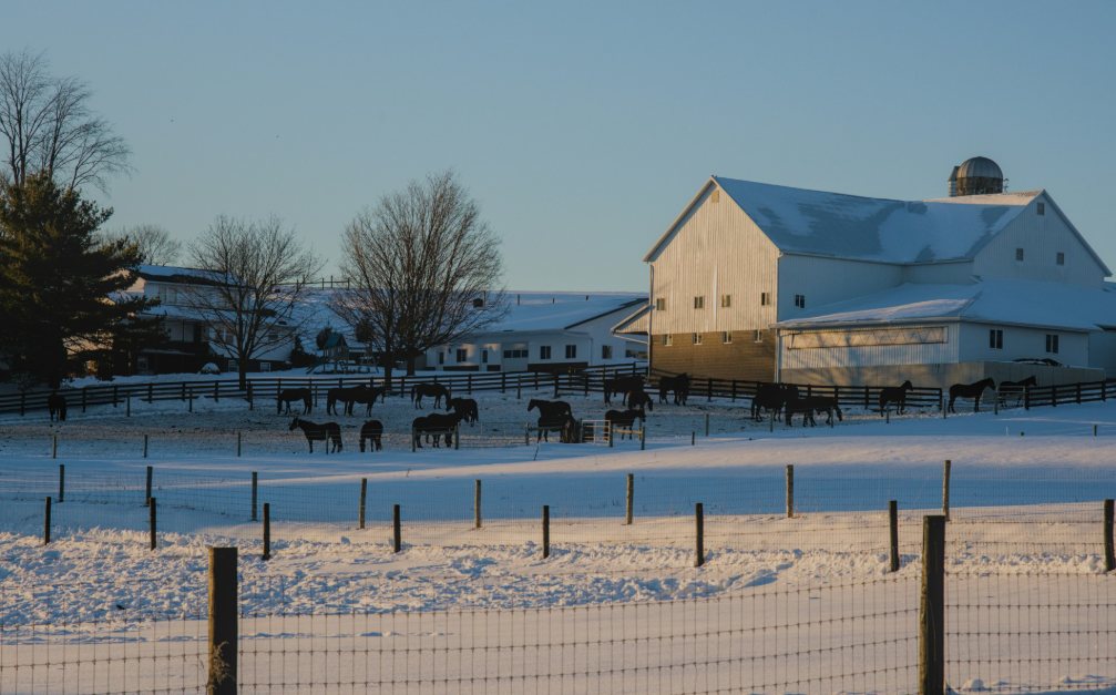 Screenshot 2026-02-19 101502.png