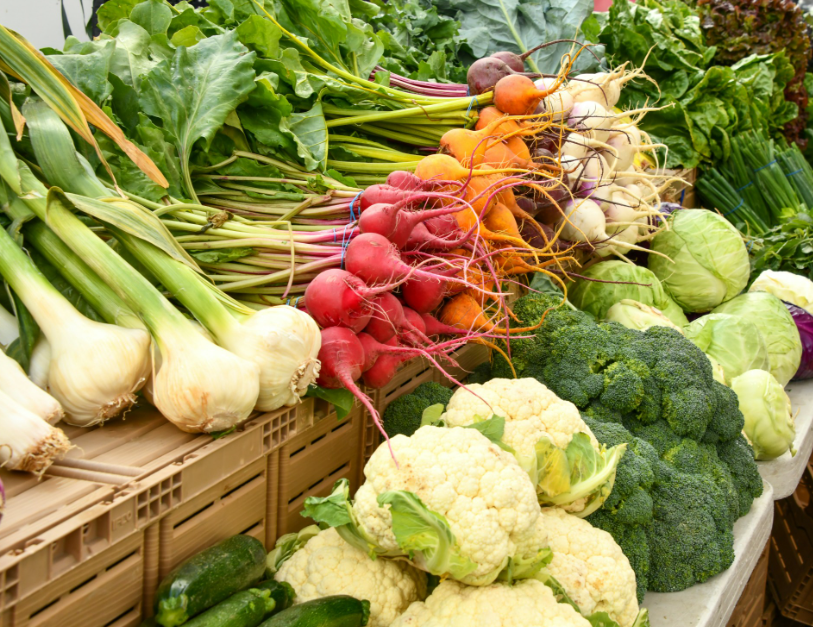 Screenshot 2026-02-19 101526.png