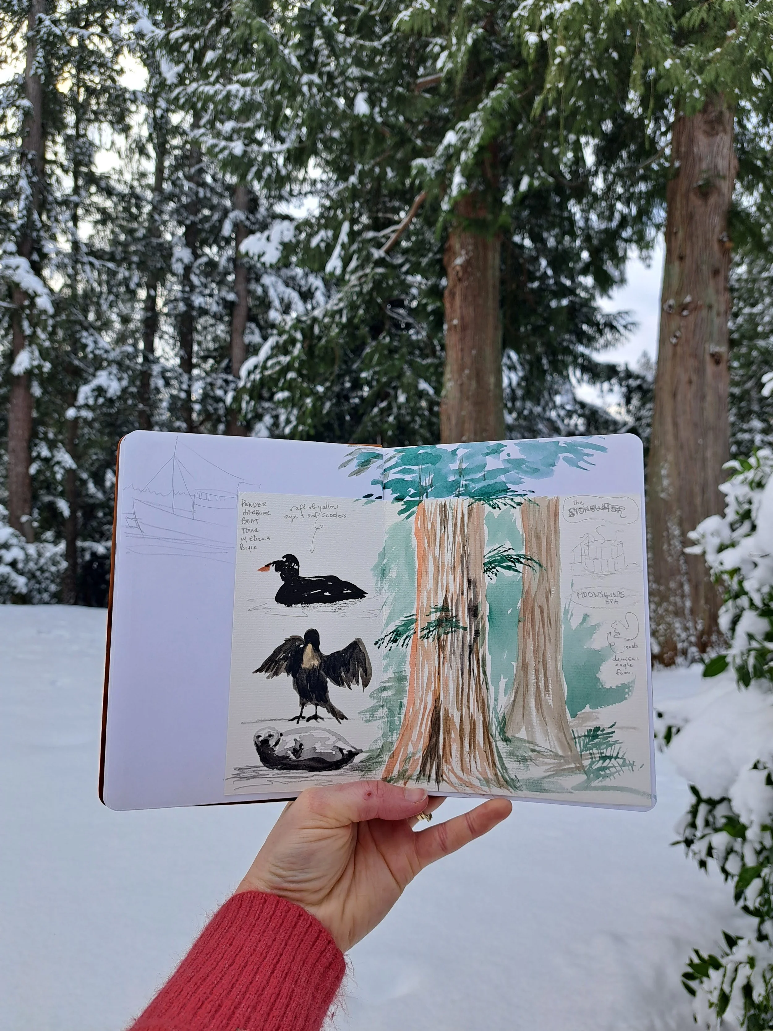 20250206_090304 (1).jpg