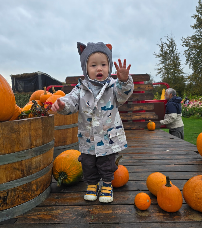 Screenshot 2026-03-03 105157.png