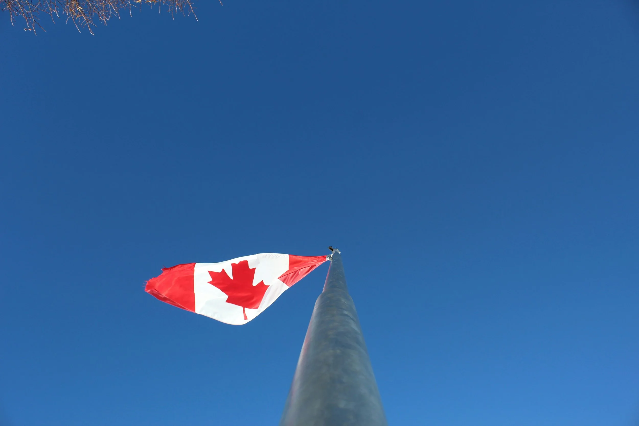 Full Q&amp;A - Who Will Win the Race to Become Canada’s Social Media Empire?