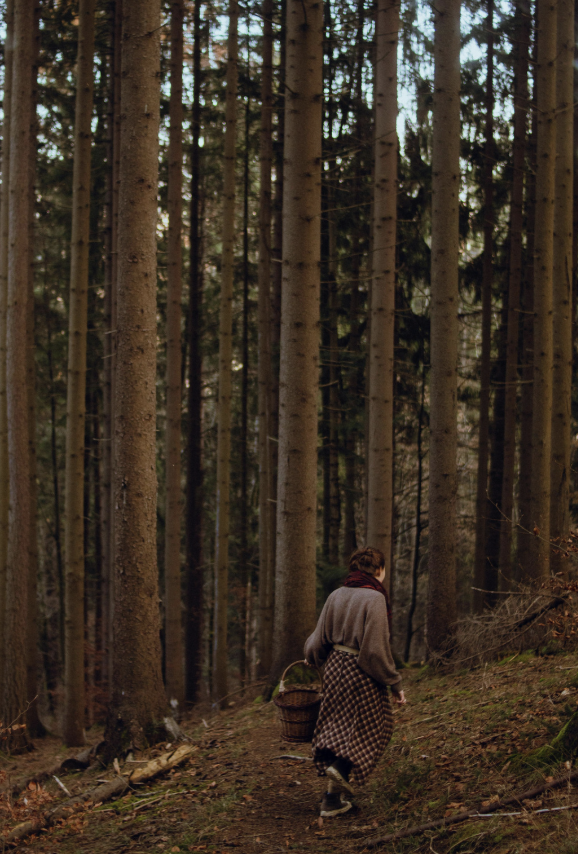 Screenshot 2026-03-10 at 11.23.11 AM.png