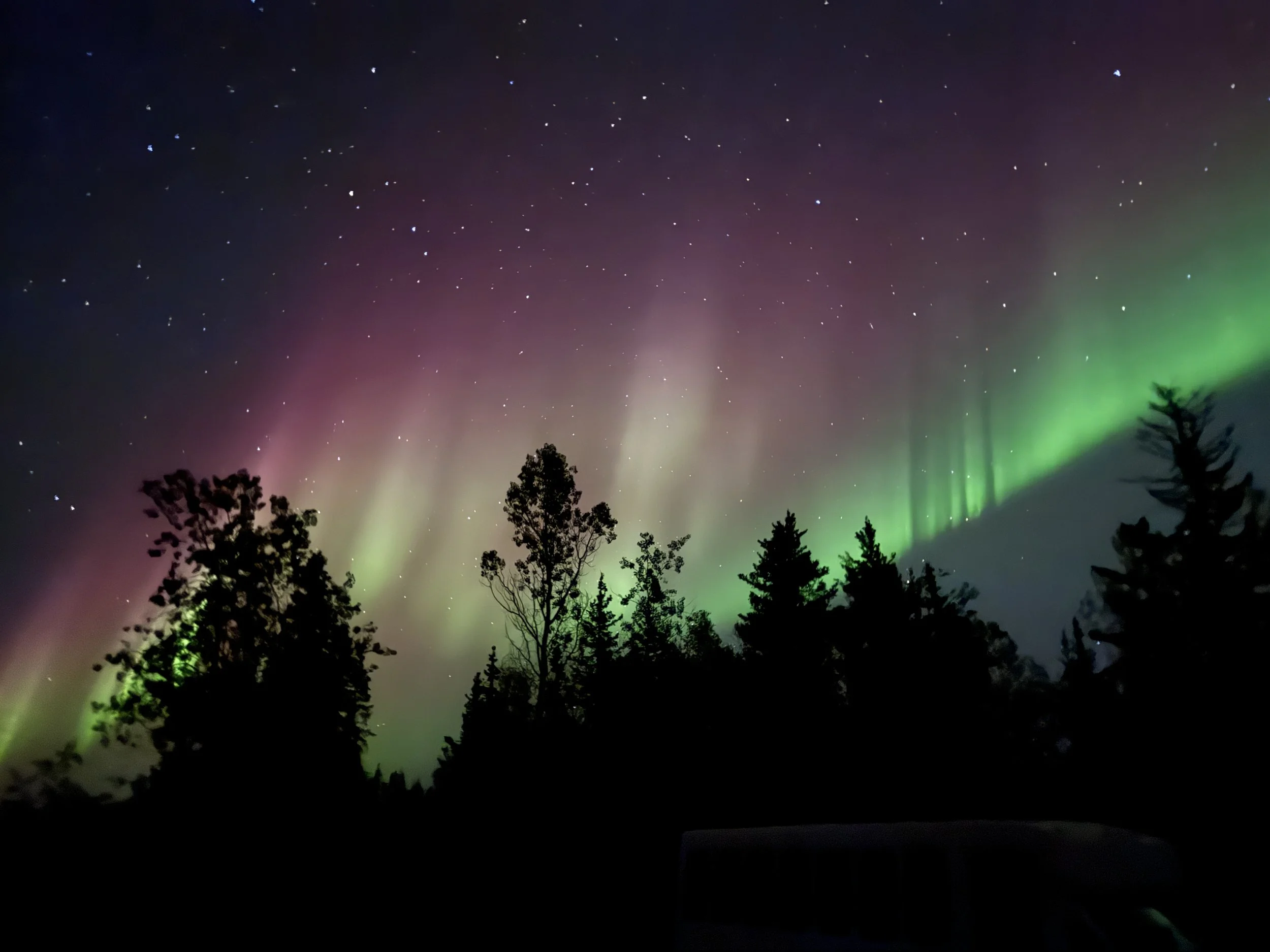 YK - Aurora Summer.JPG