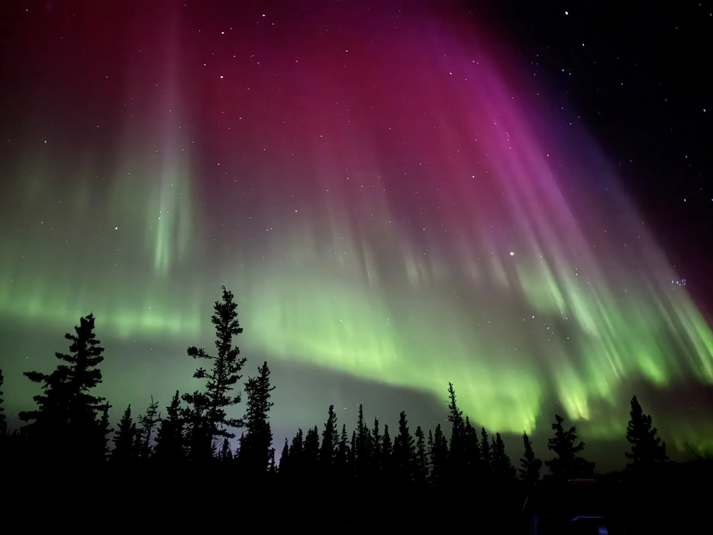 YK - Winter Aurora.JPG