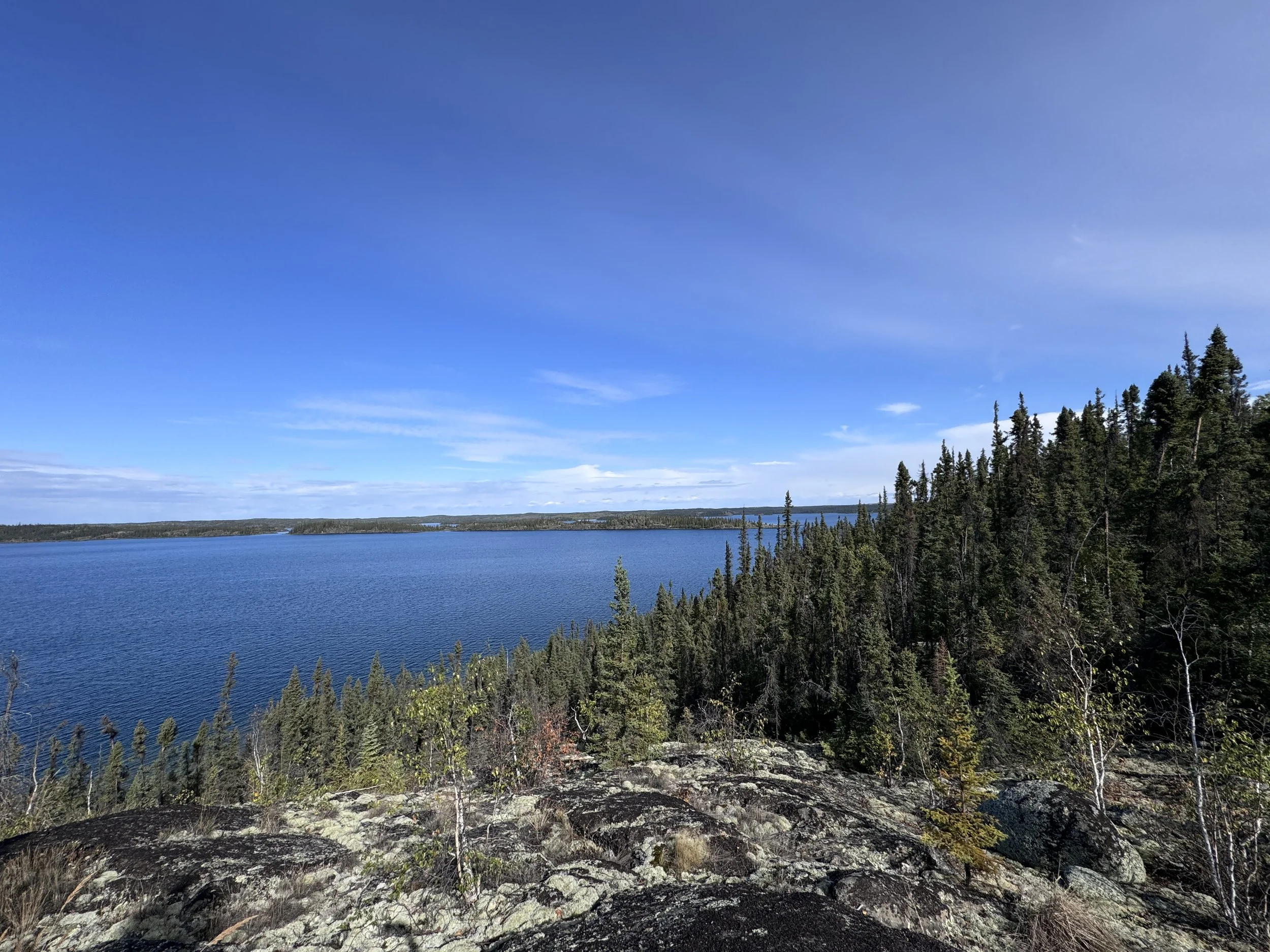 YK - Nature Tour - Summer 2.JPG