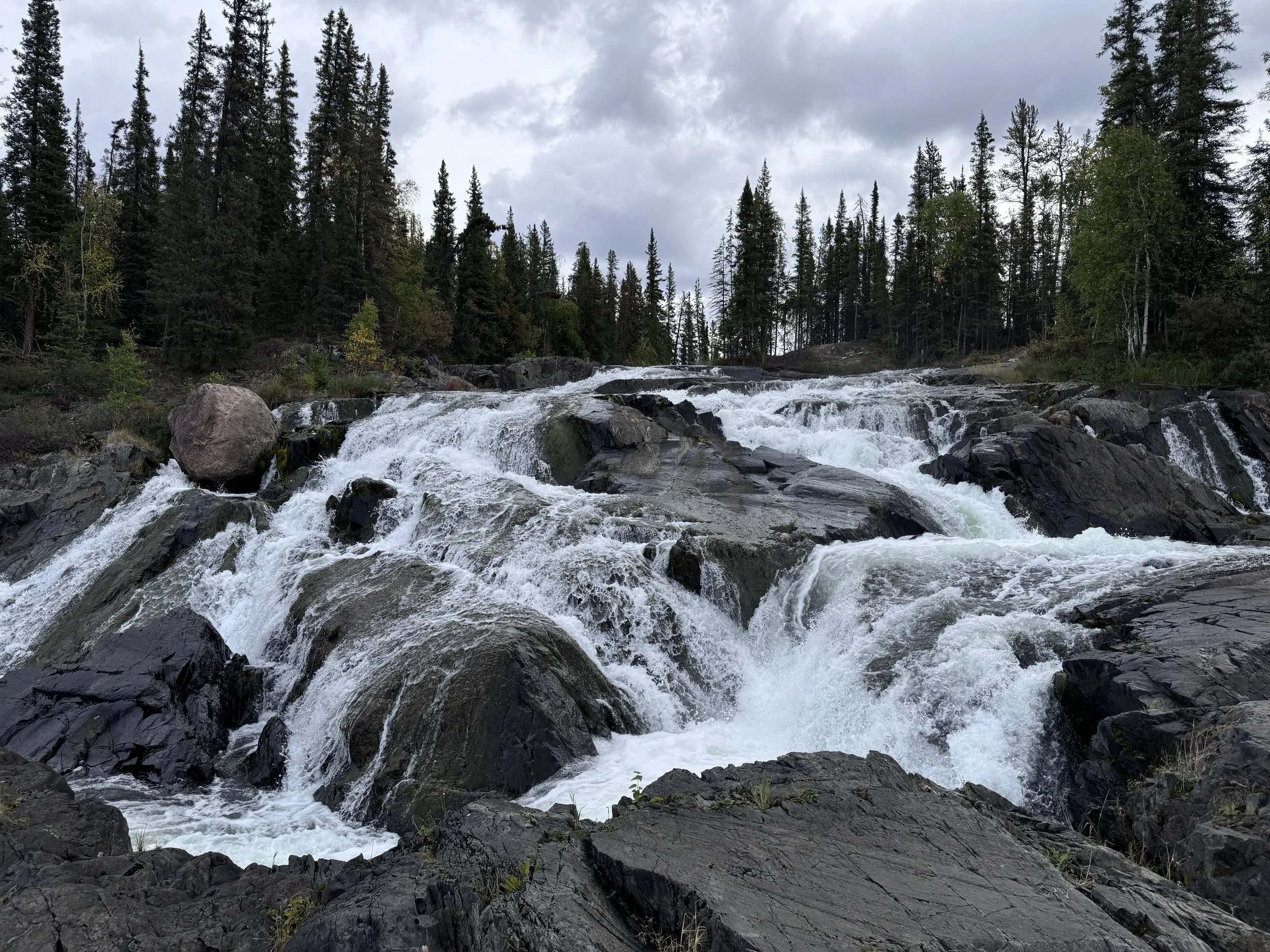 YK - Nature Tour - Summer.JPG