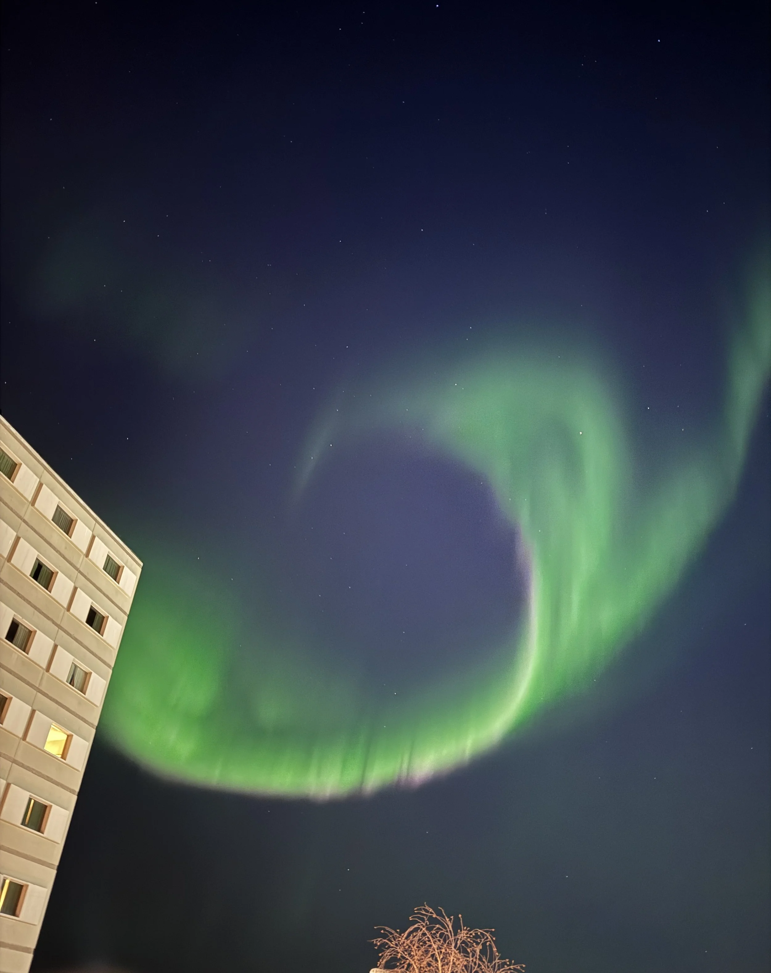YK - Aurora in town.jpg
