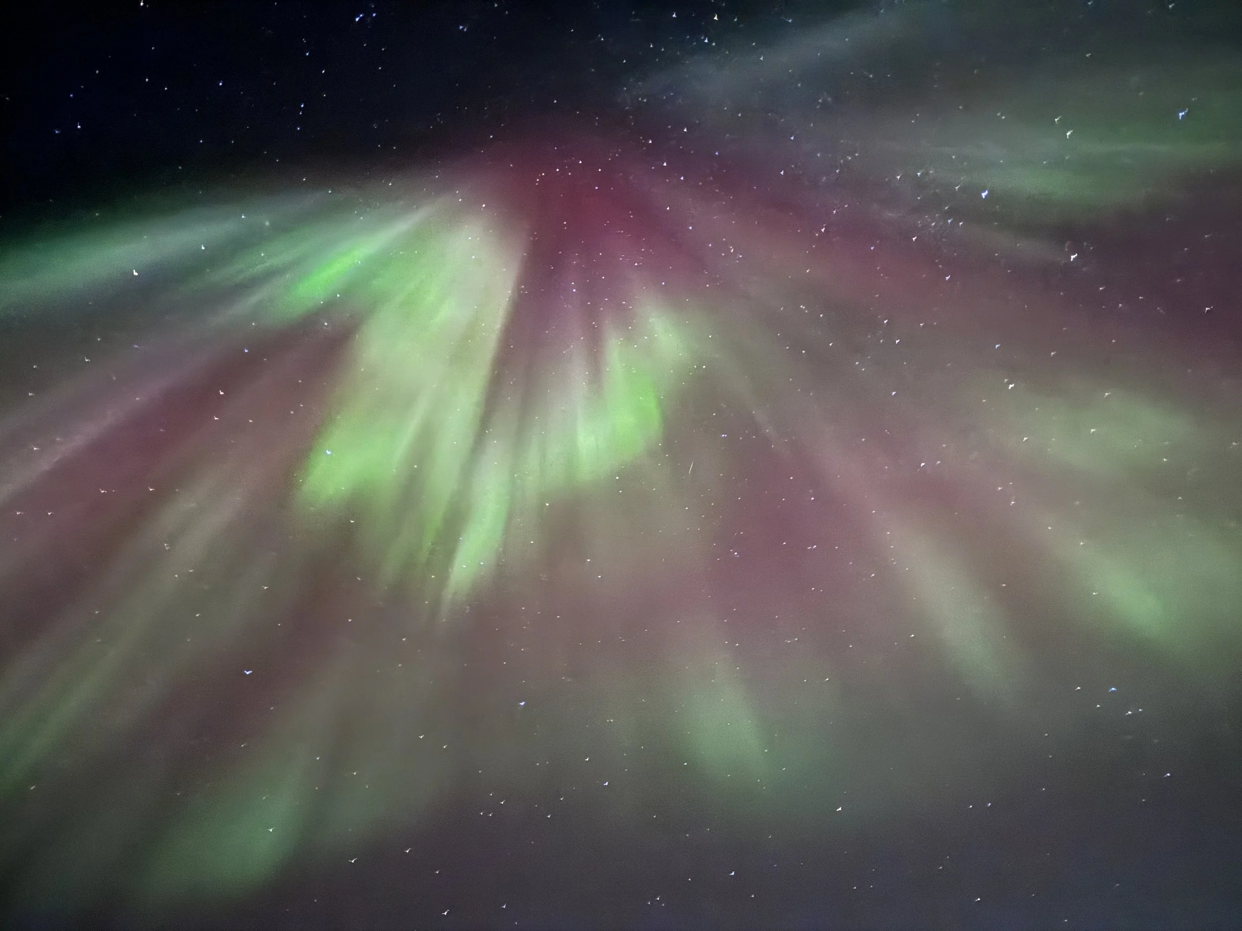 YK - Summer Aurora Sky.JPG