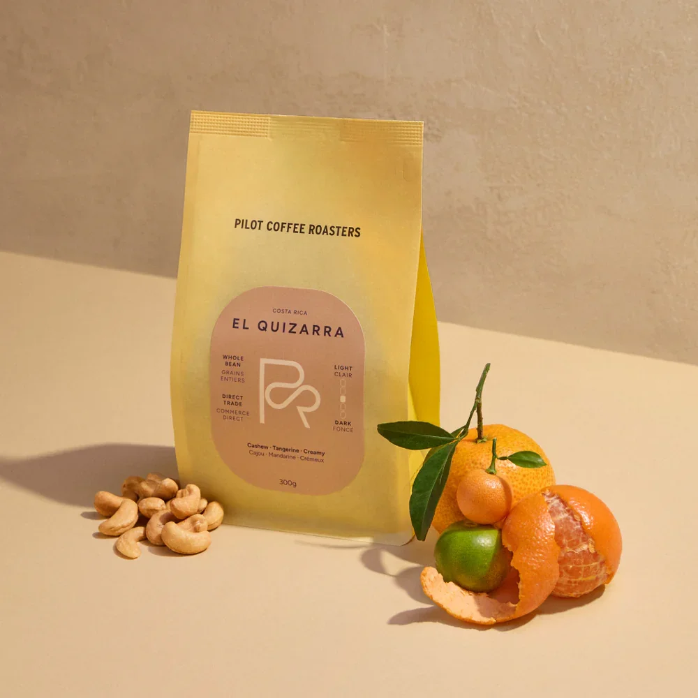 Pilot Coffee 3.webp
