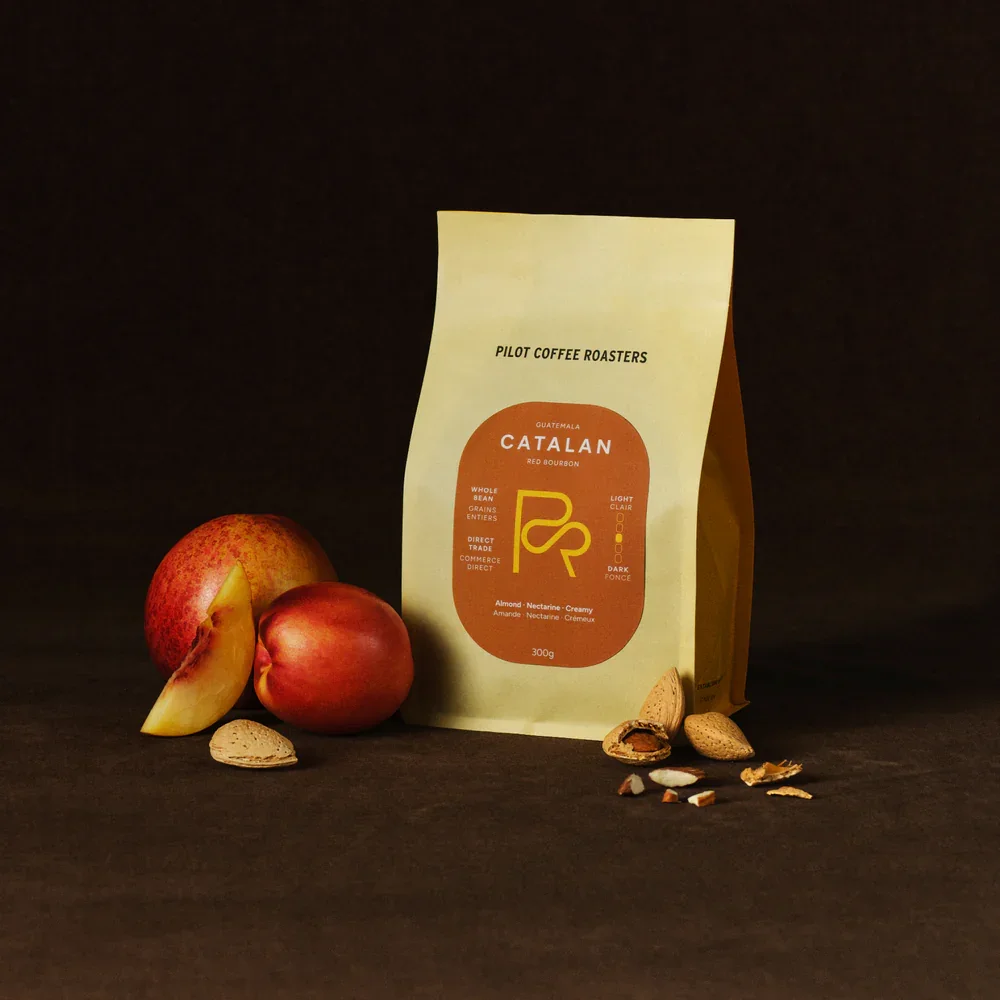 Pilot Coffee 2.webp