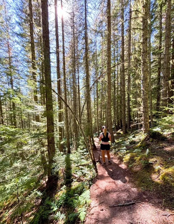 Flora Peak Descent 2.jpg