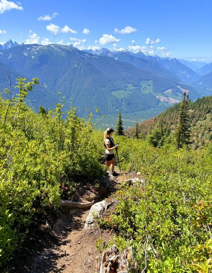Flora Peak Meadow 1.jpg