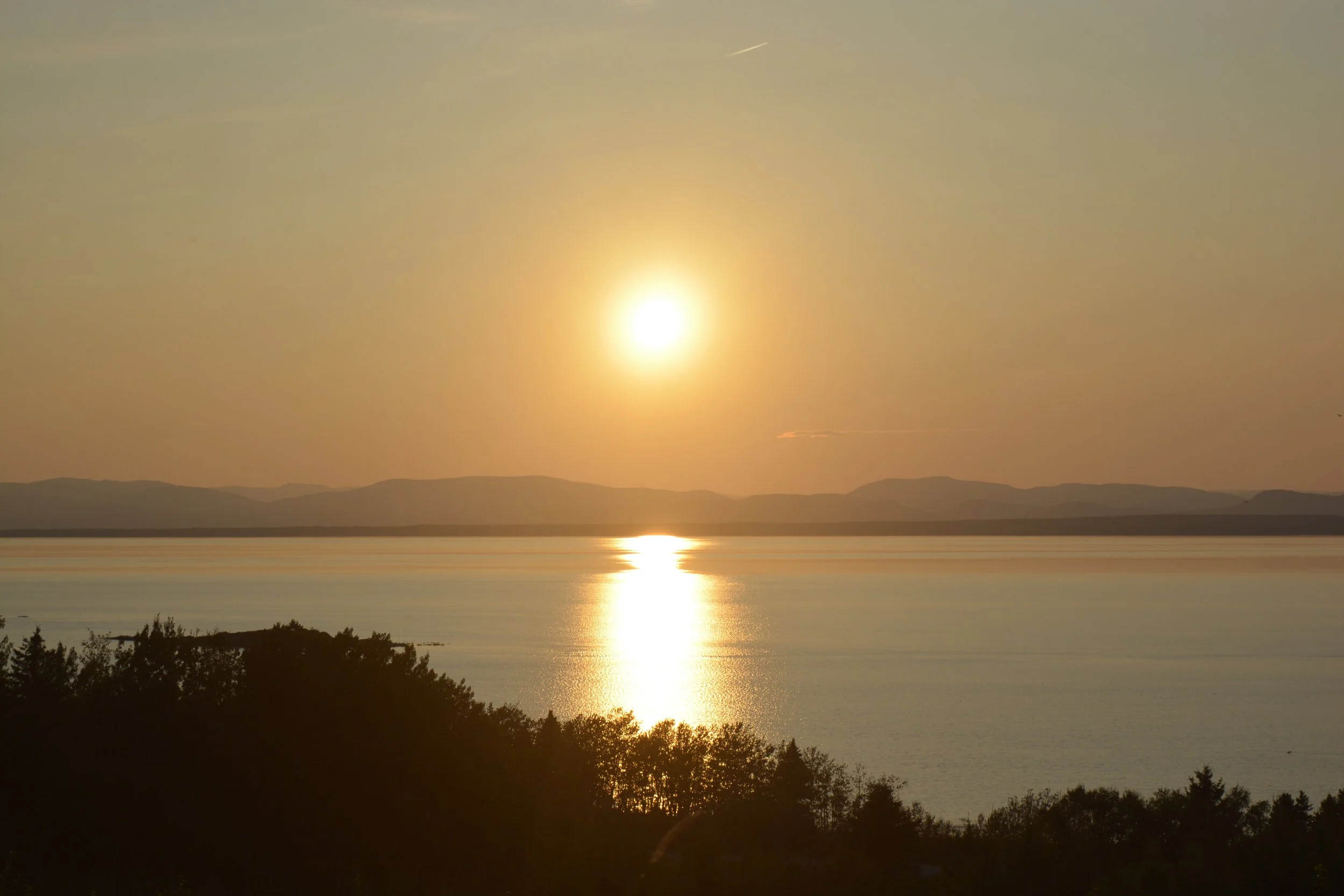 DSC_0075.JPG
