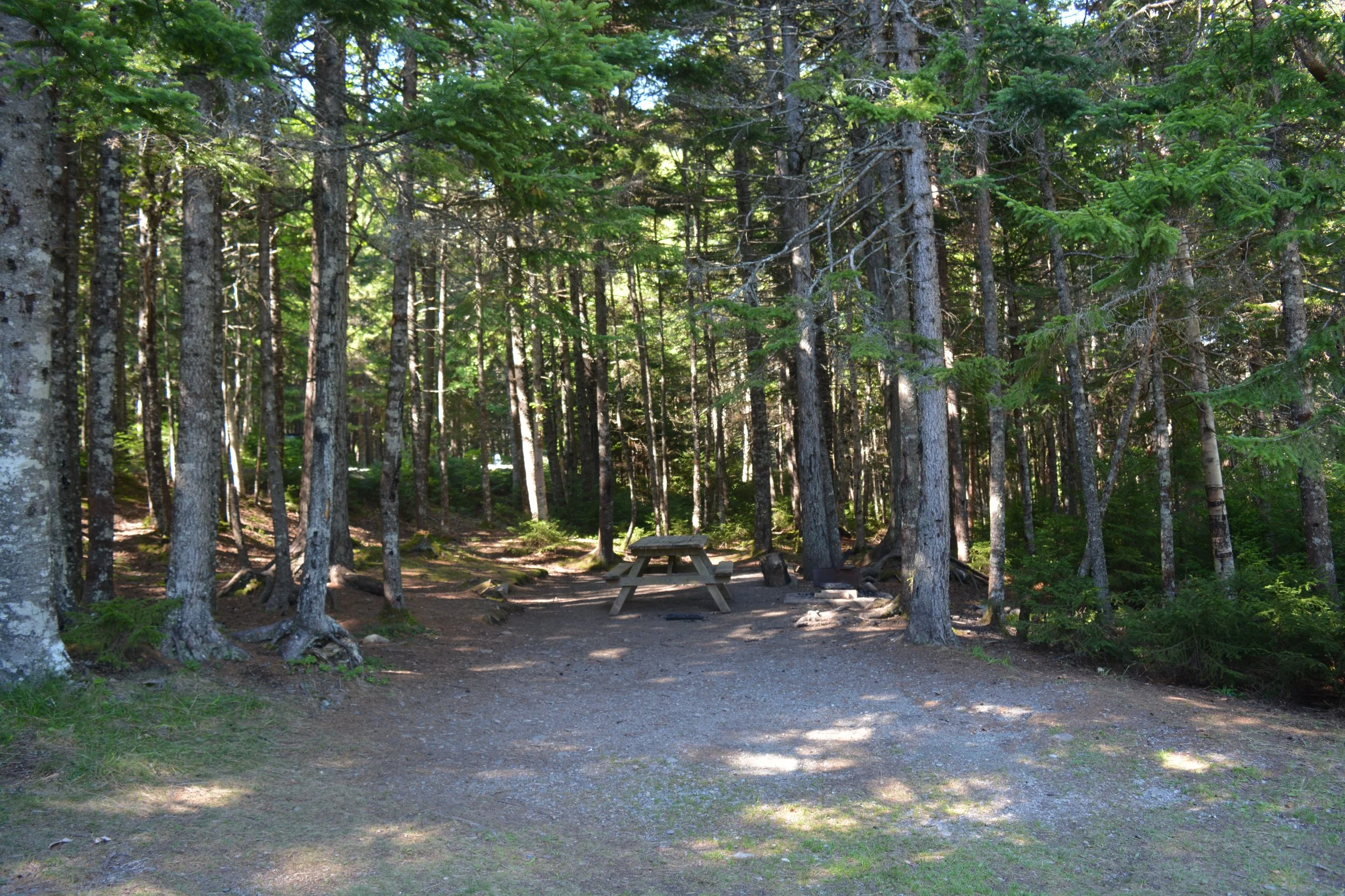 DSC_0096.JPG