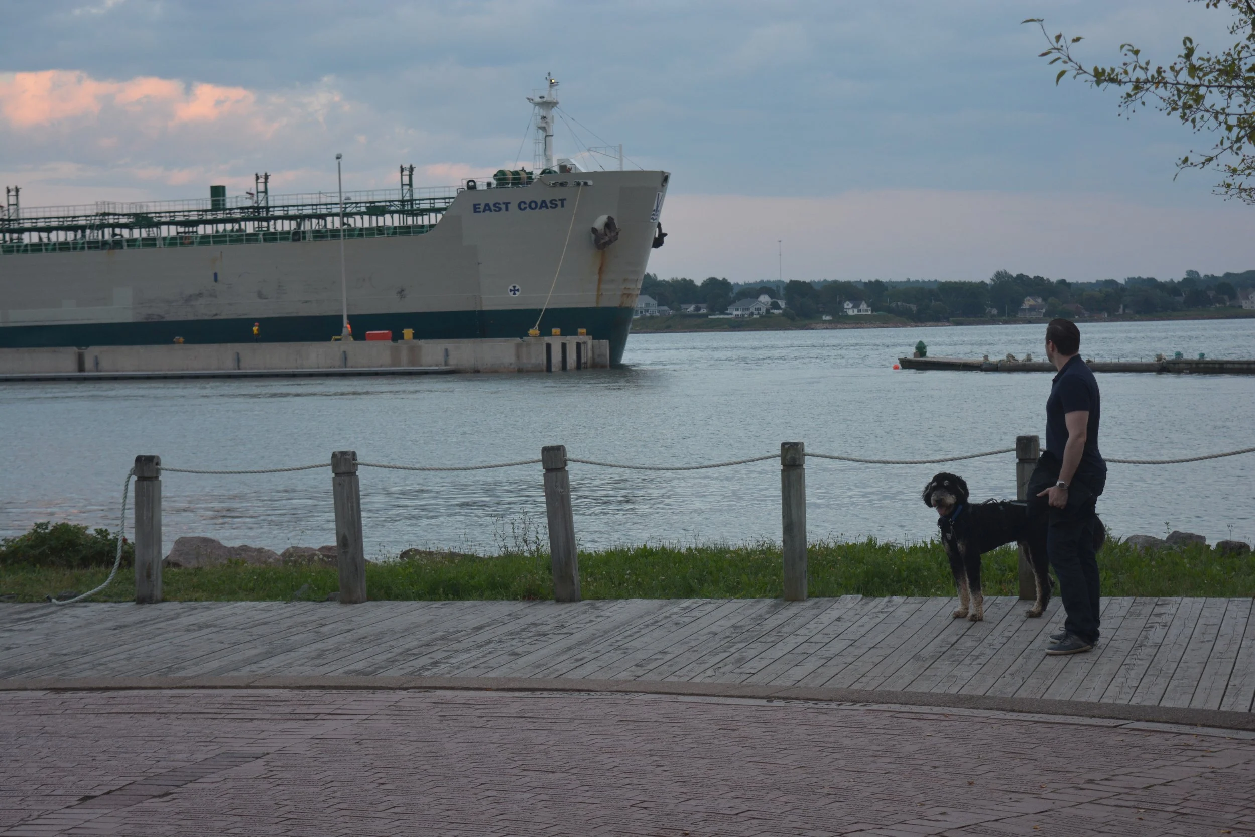 DSC_0267.JPG