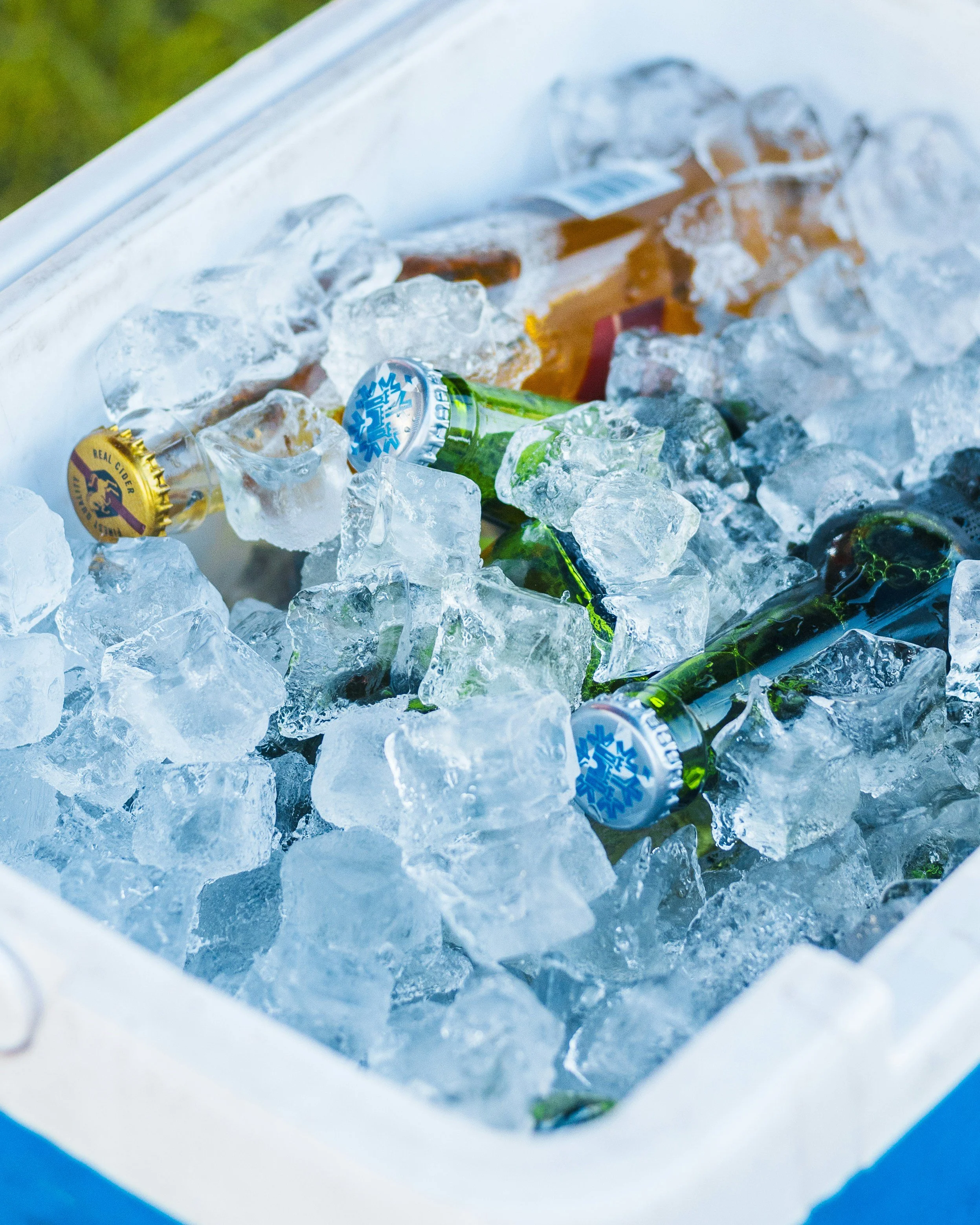 Here’s What to Pack in your Cooler for the Beach&nbsp;