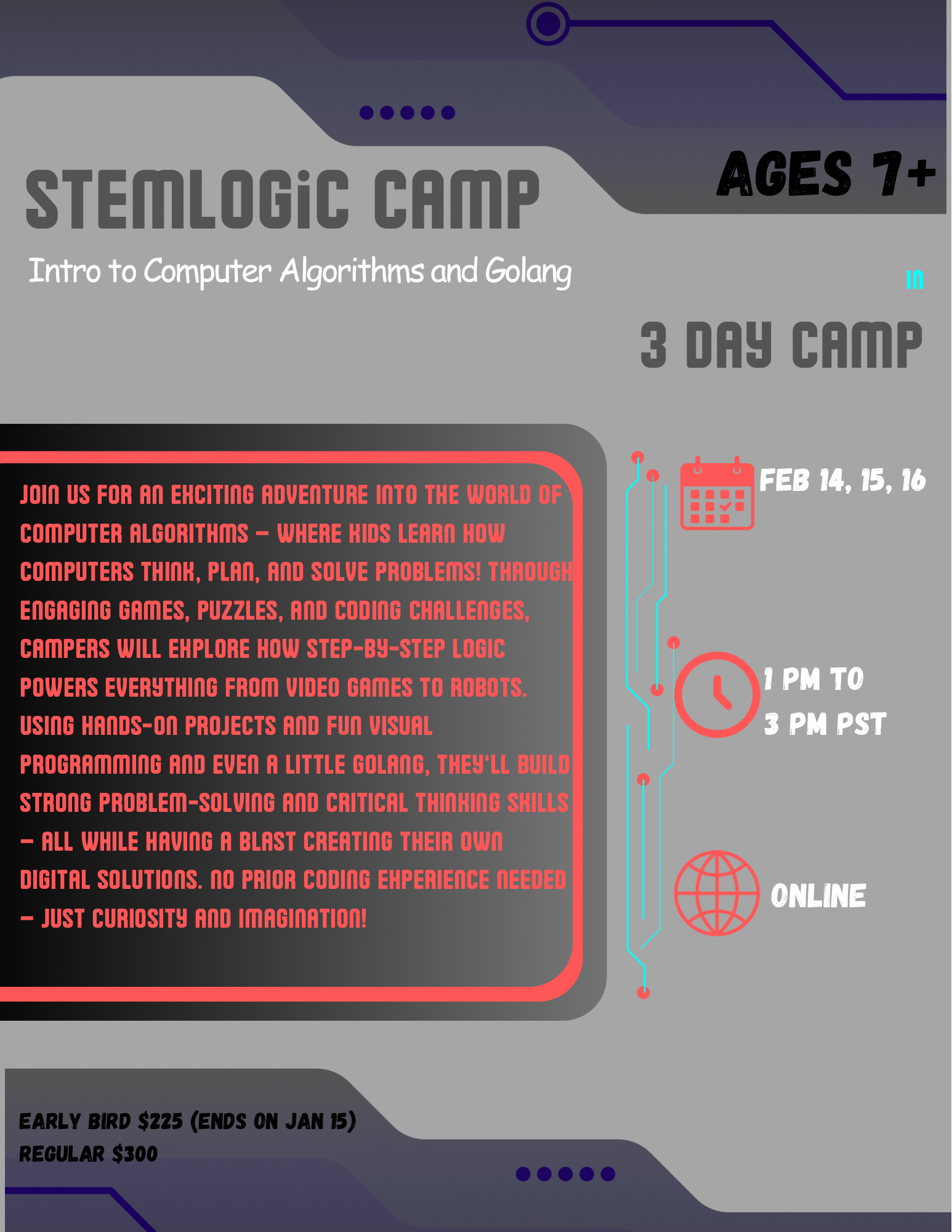STEMLogic Camp: Intro to Computer Algorithms & Golang (Feb 14, 15,16)